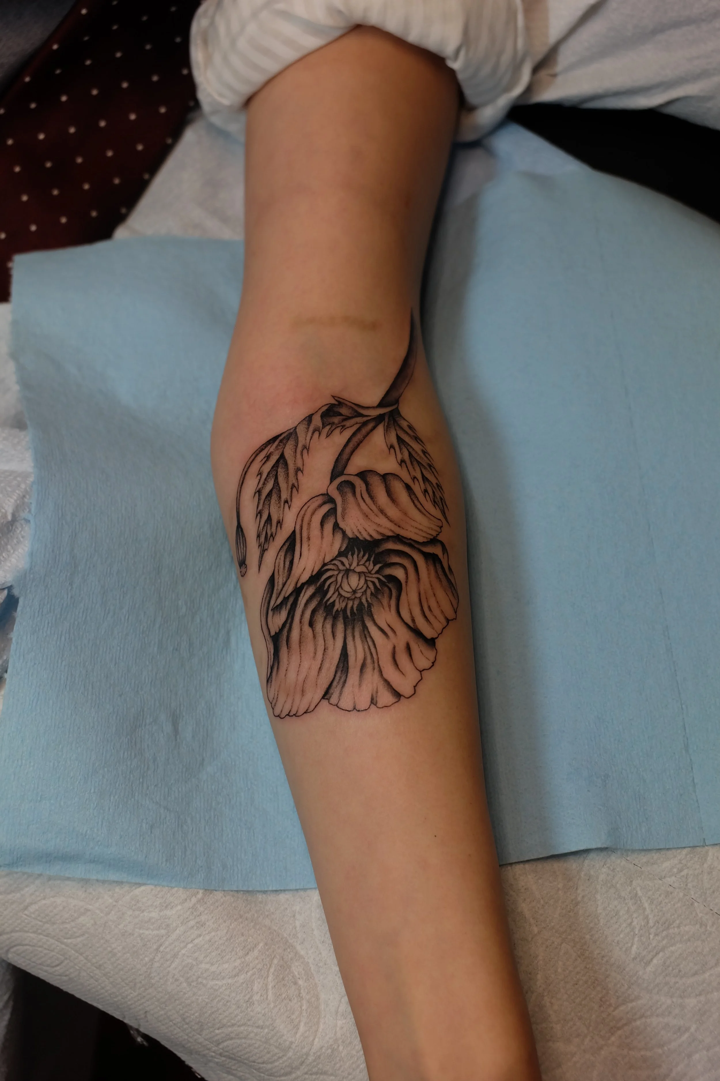 Tattoo by Sisi @sailorsisilia