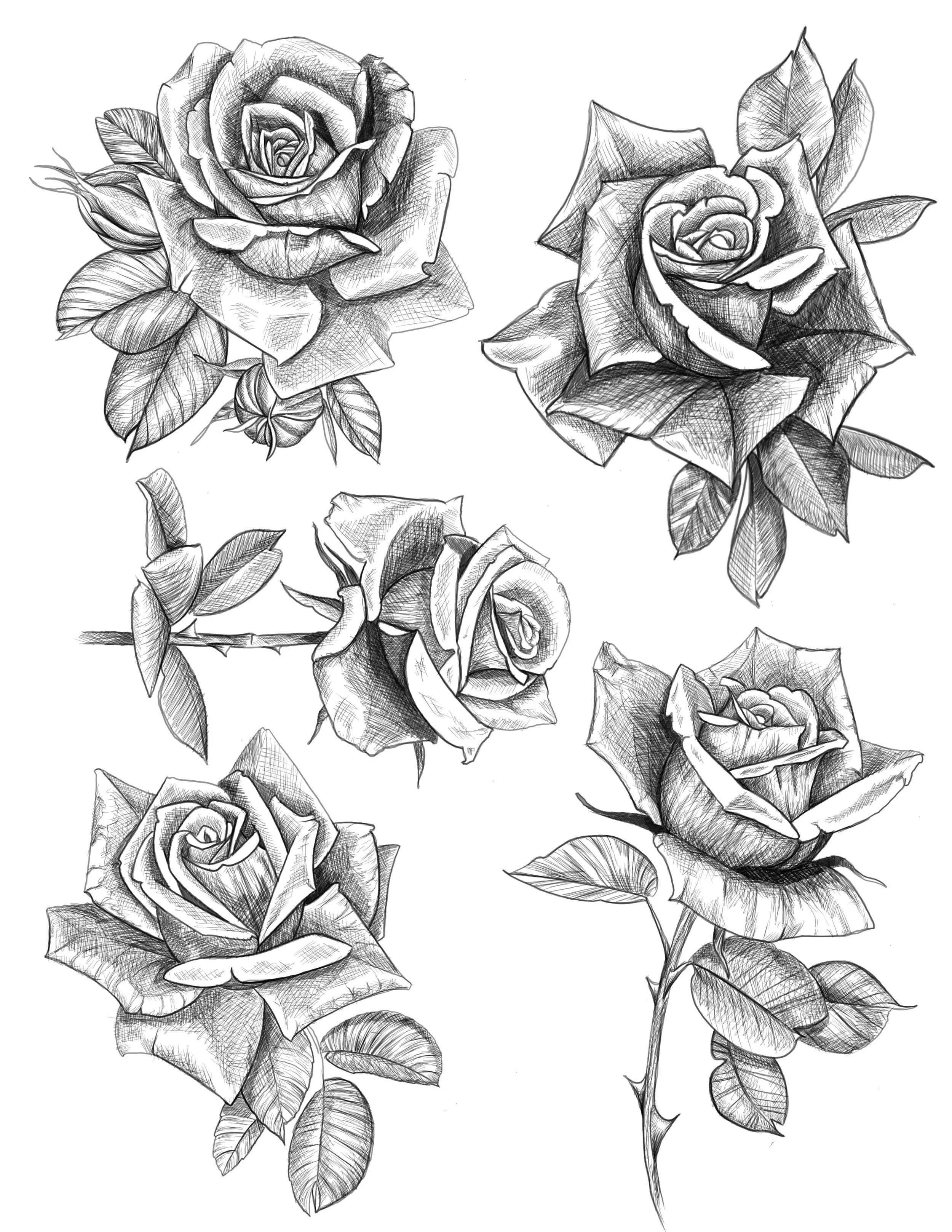 Flash design by Andrew Baker