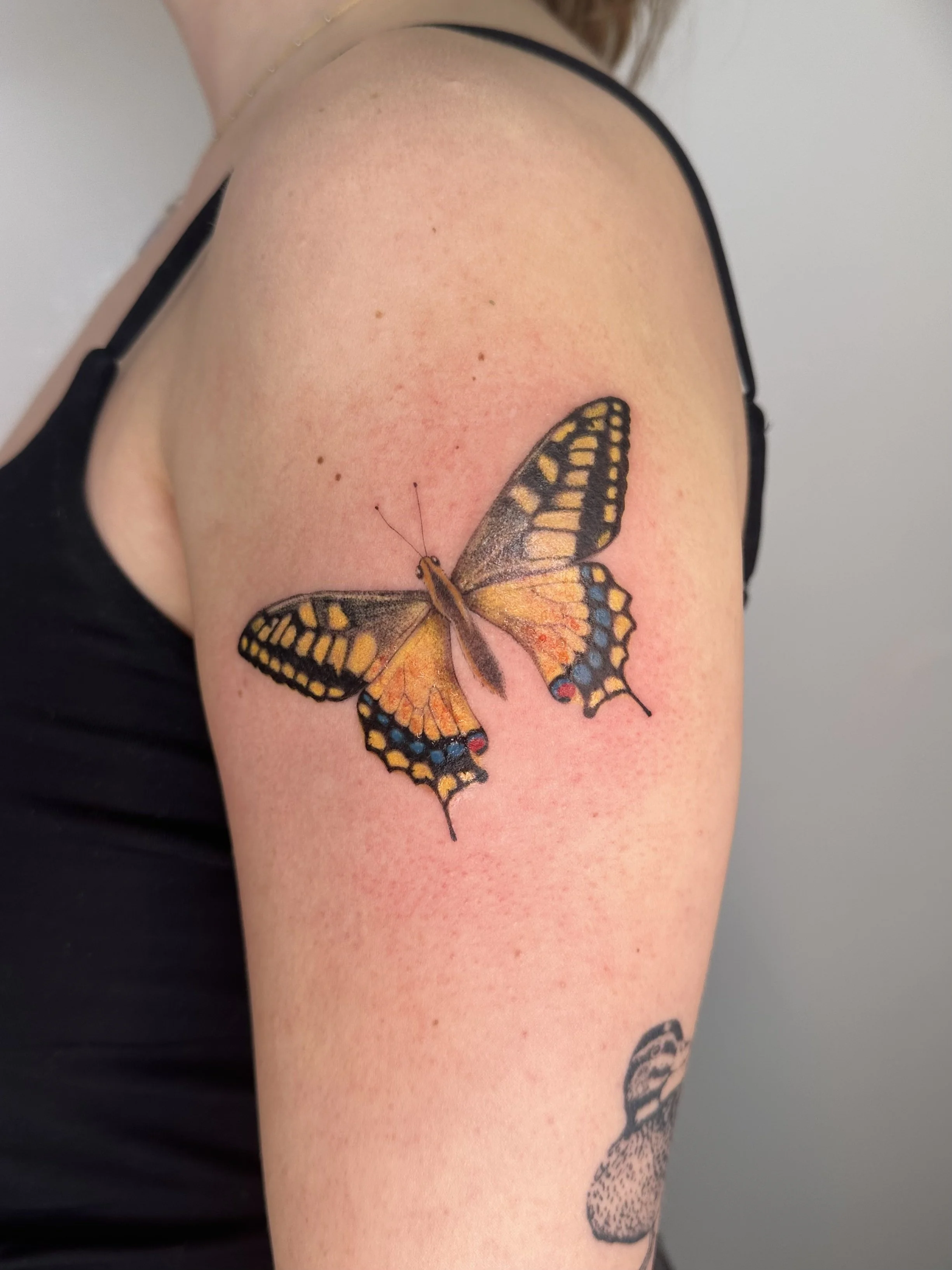 Tattoo by Elle @ellesparksstudio at Birdhouse Tattoo Portland, Oregon