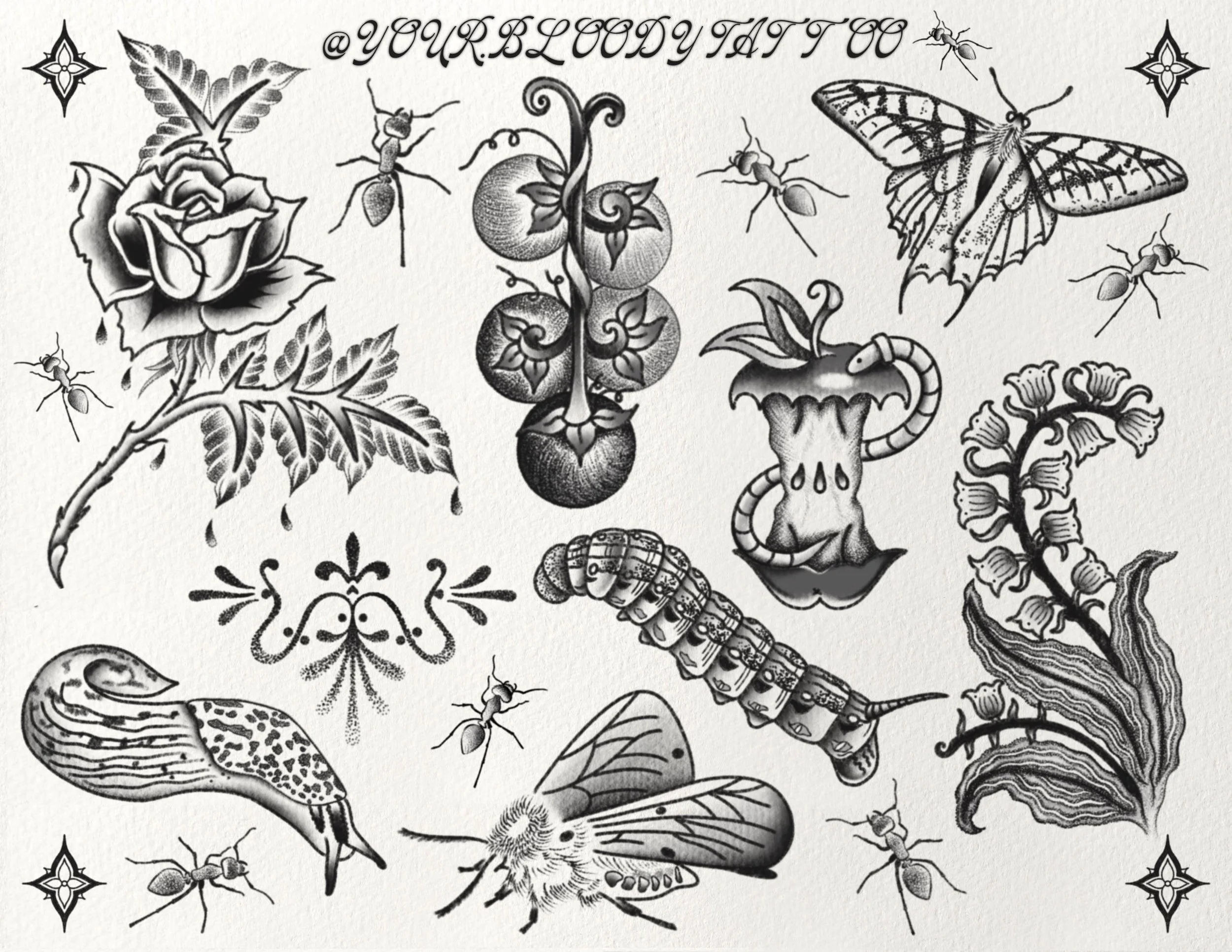 New Flash from Crysta