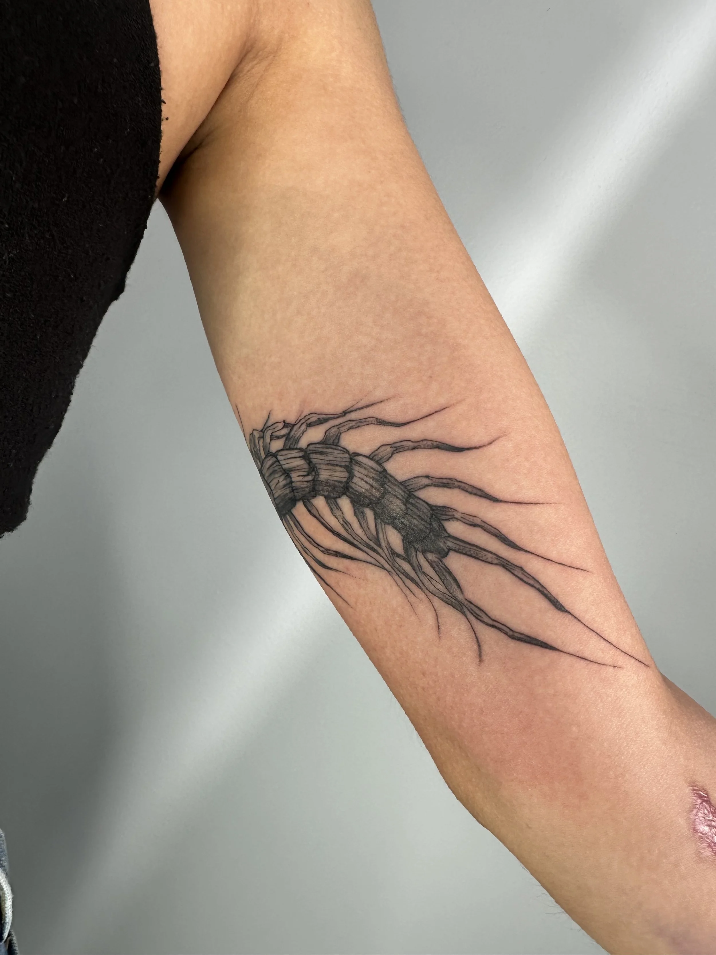 Tattoo by Wobbly @wobbly_fox