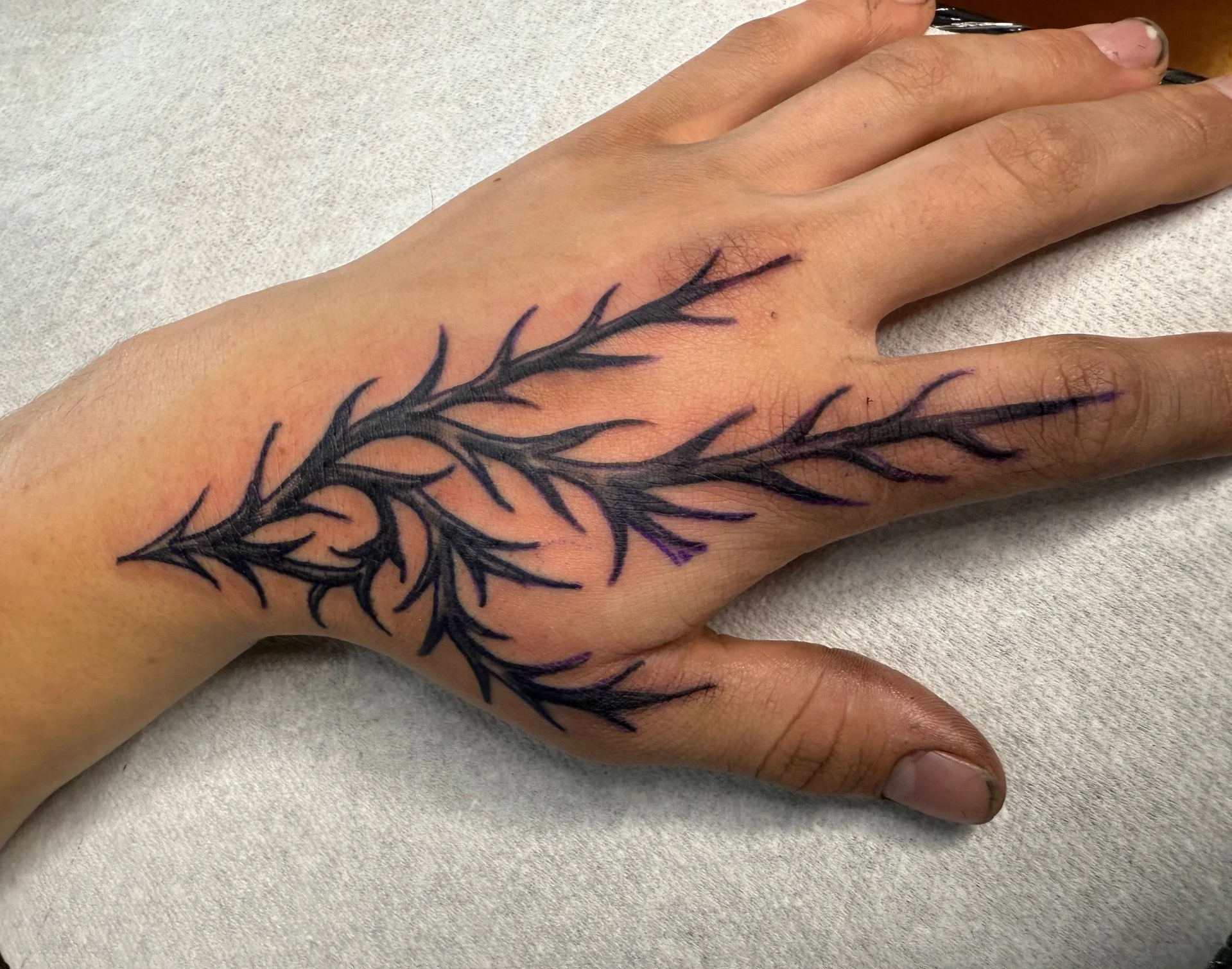 Tattoo by Justin @juicyjuice.tattoo at Birdhouse Tattoo in Portland, Oregon