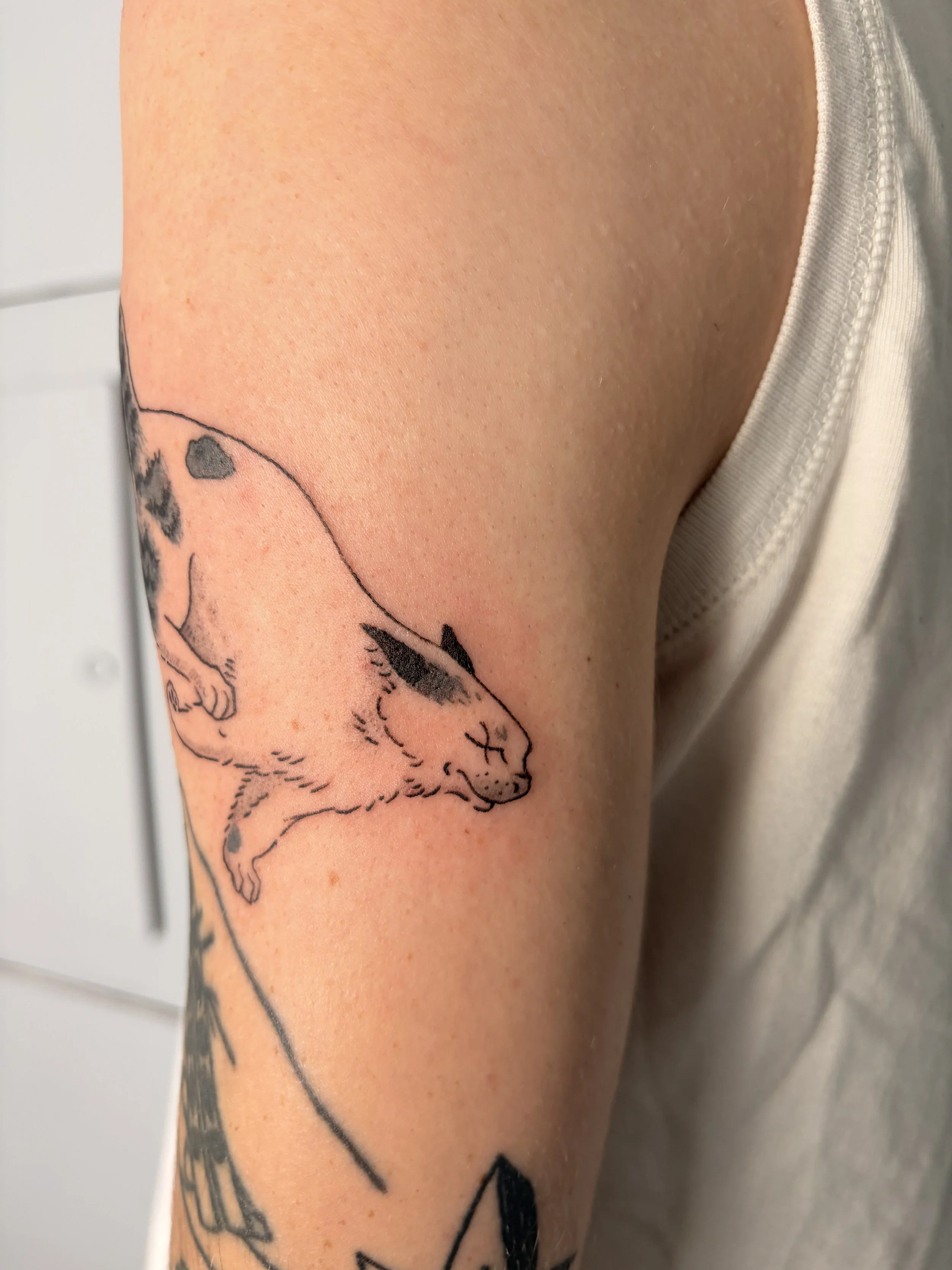 Tattoo by Mitchell @teebirdtattoo at Birdhouse Tattoo in Portland Oregon