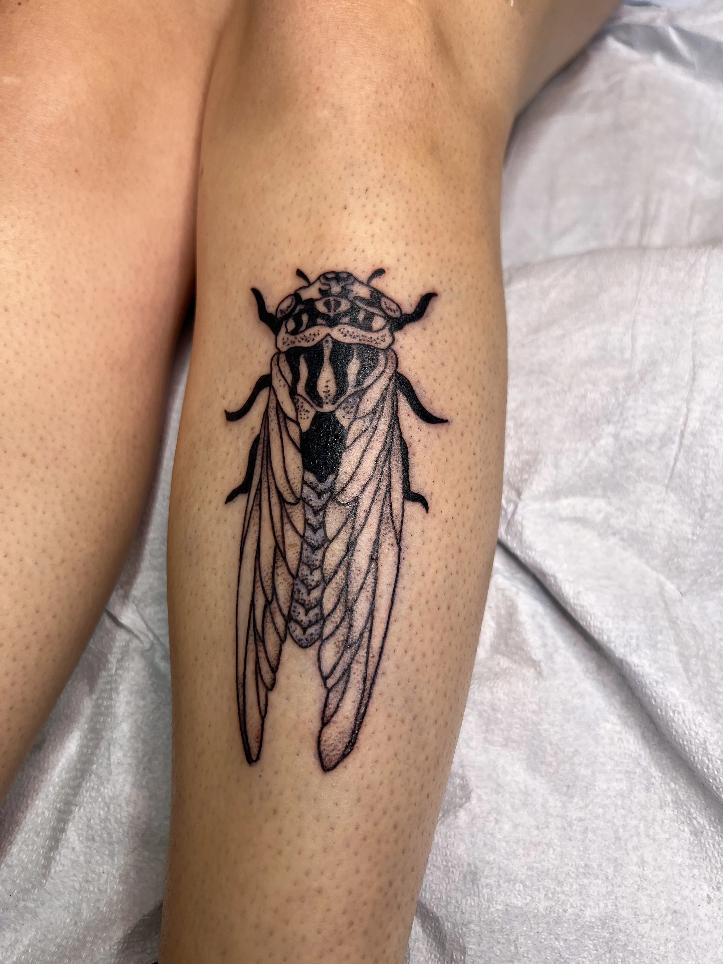 Tattoo by Rachel Wolfe @r.m.wolfe at Birdhouse Tattoo in Portland