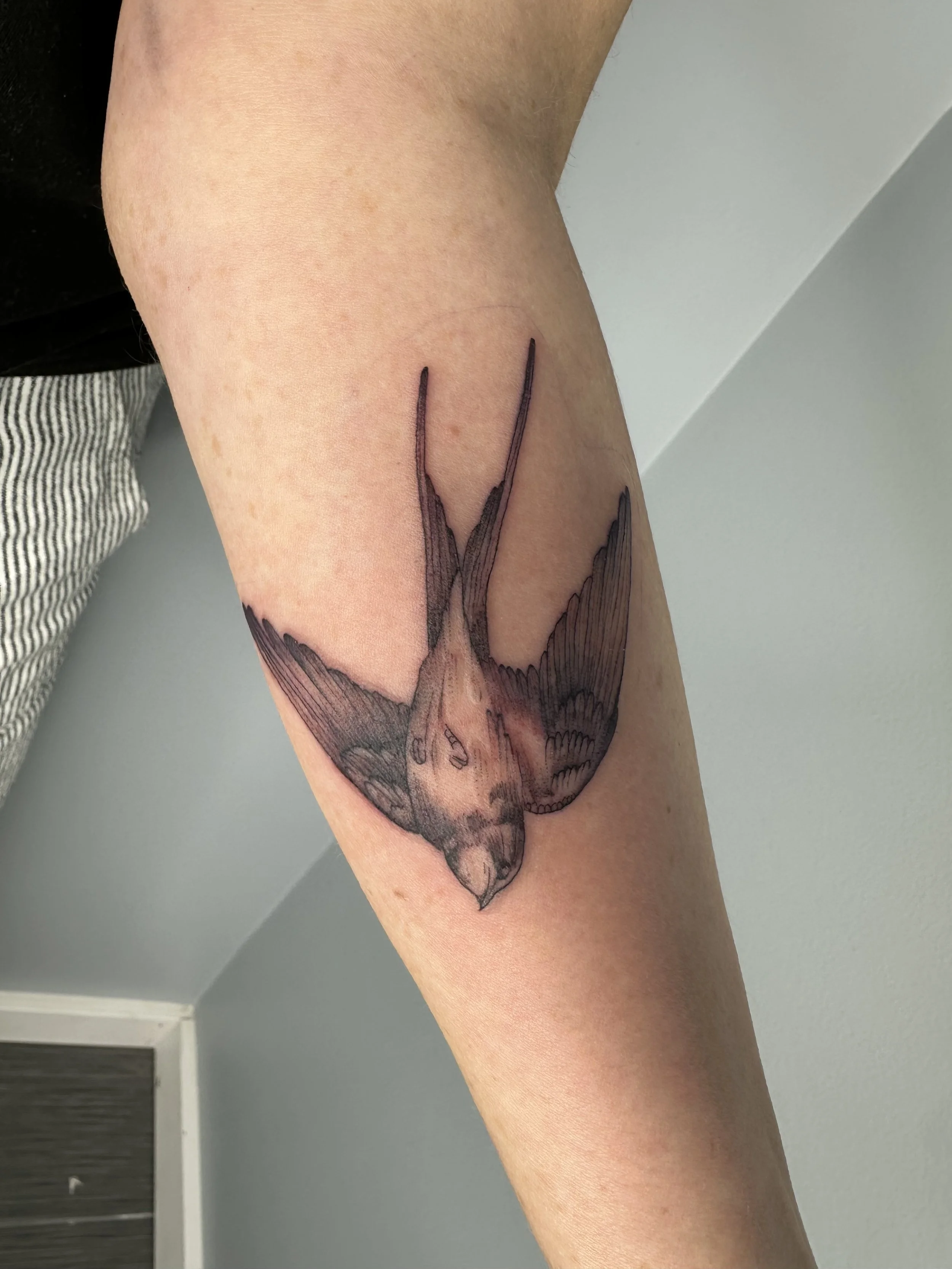 Tattoo by Wobbly @wobbly_fox