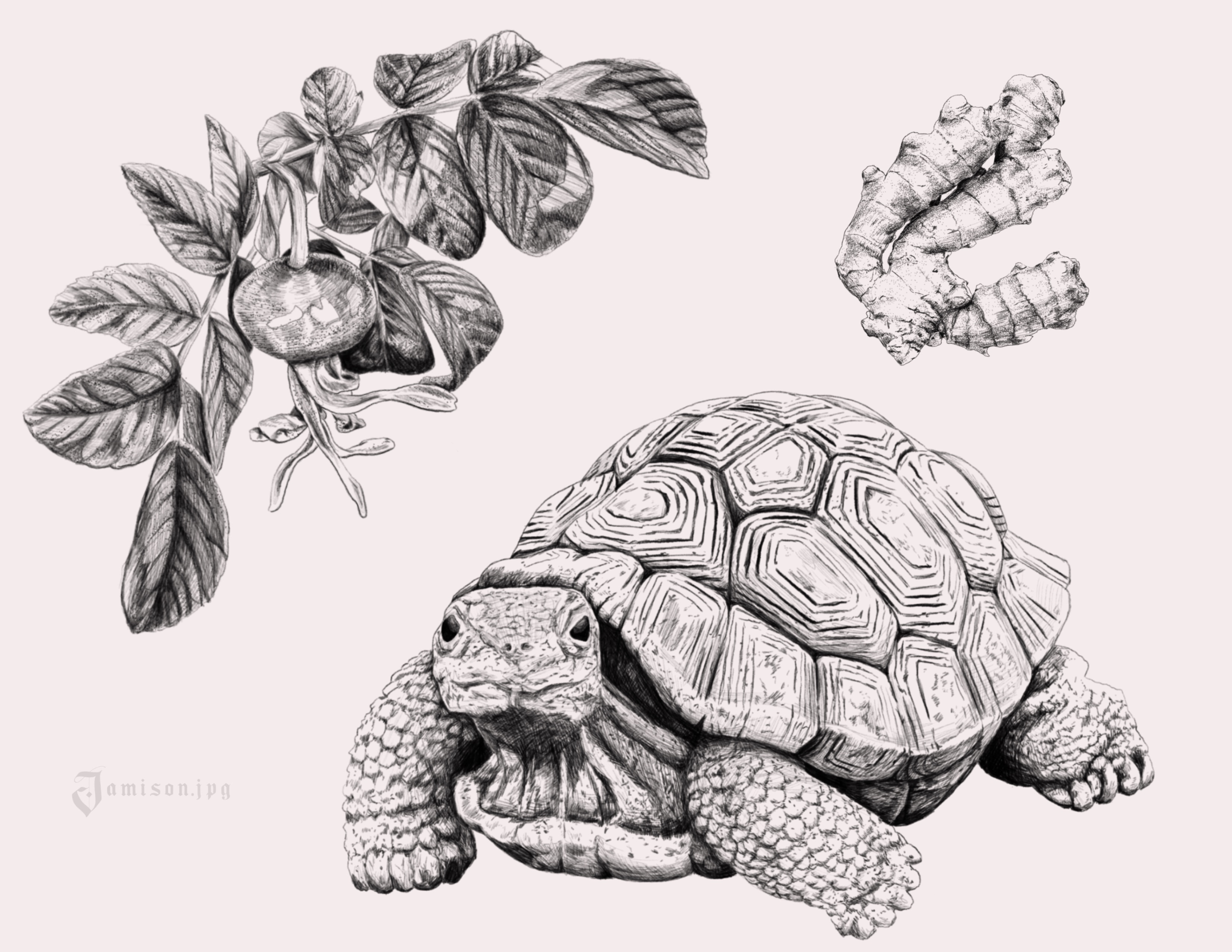 Available Flash by Jamison @jamison.jpg