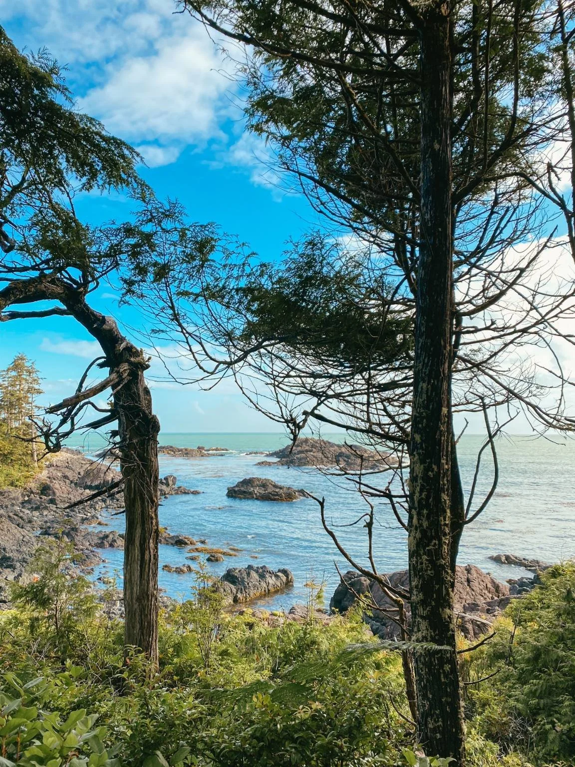 kanada rundreise mit baby.jpg