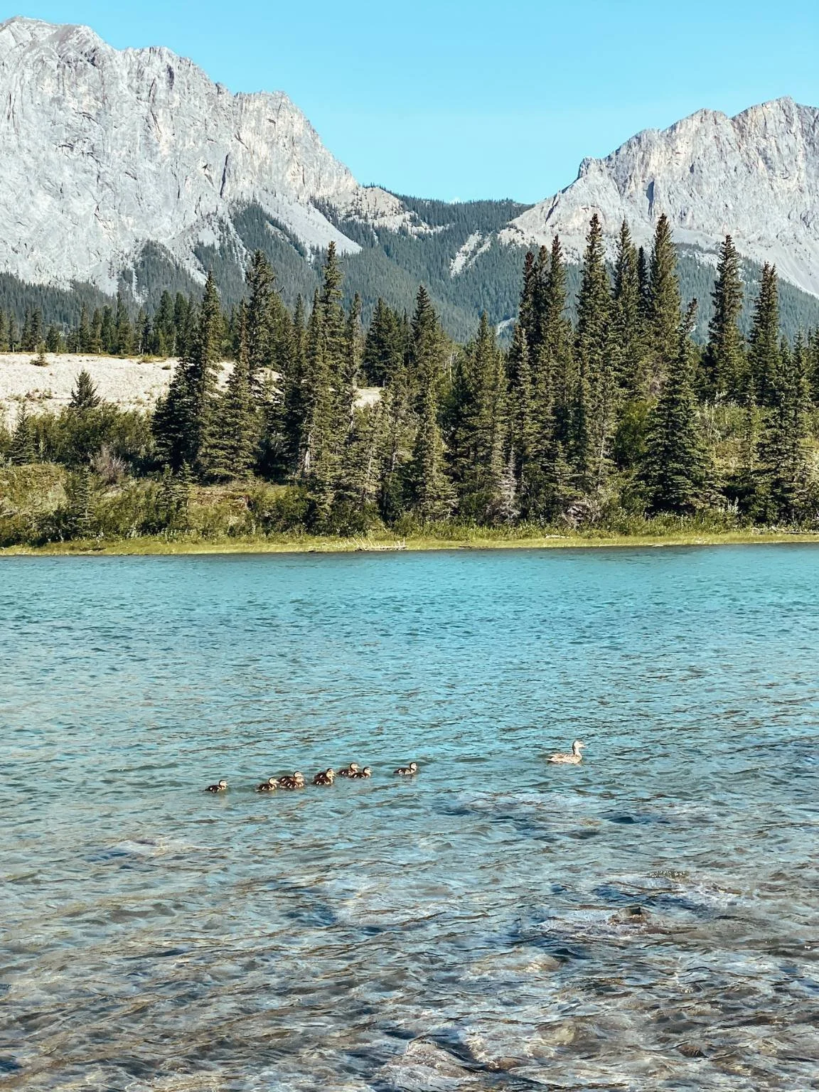 Kanada mit Kindern Blog