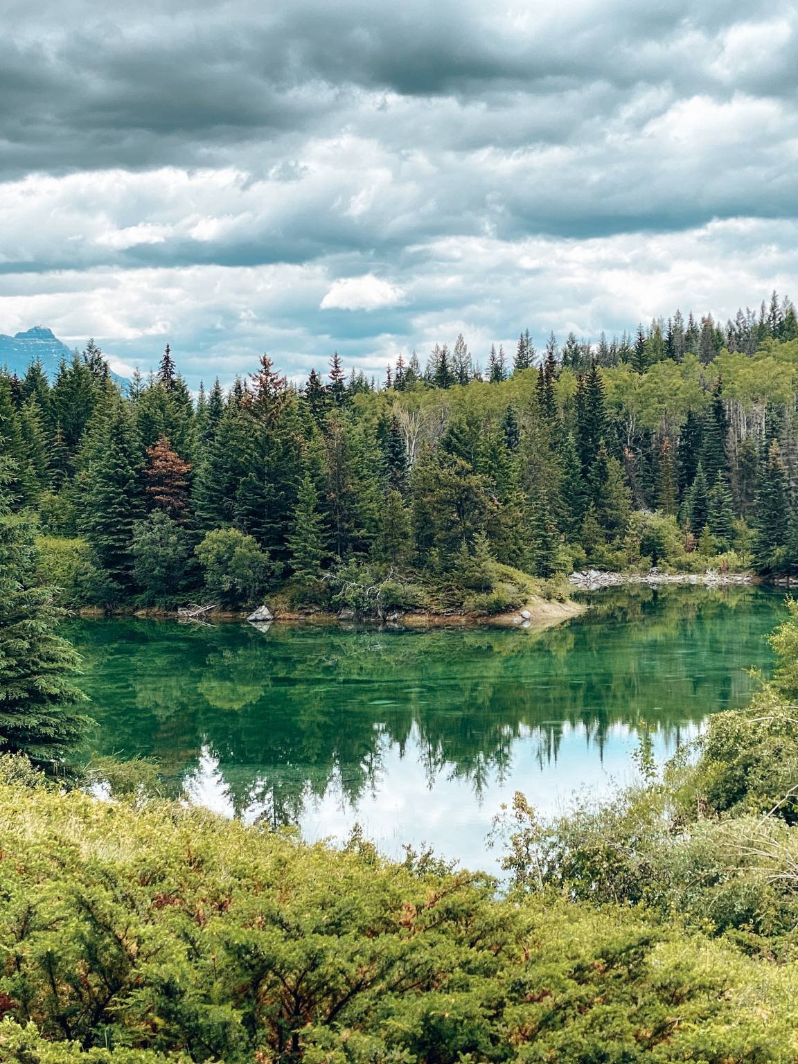 Kanada Roadtrip mit Kindern