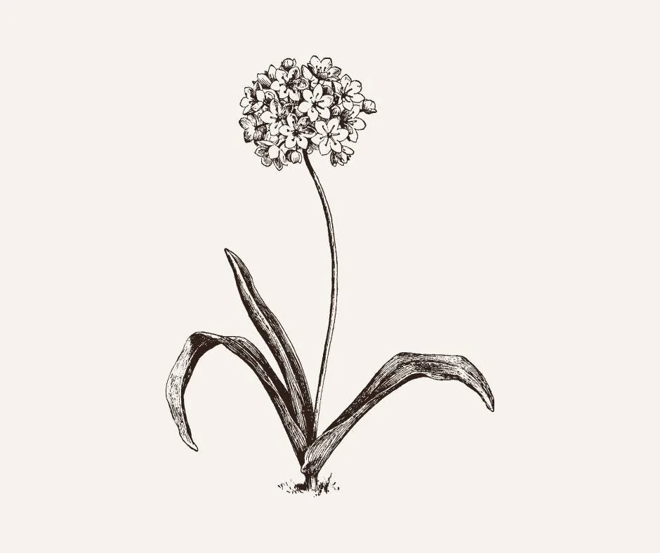 Kleine Blume als Symbol für Selbstwahrnehmung im Mama-Alltag