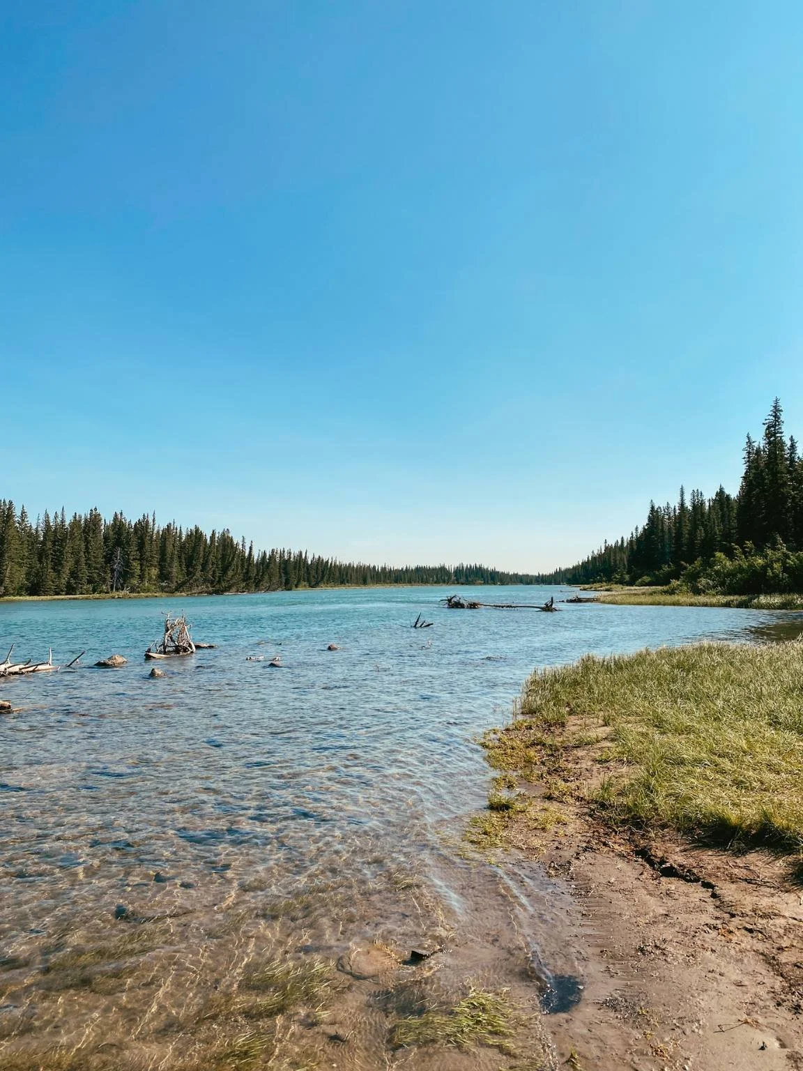 kanada mit kindern blog