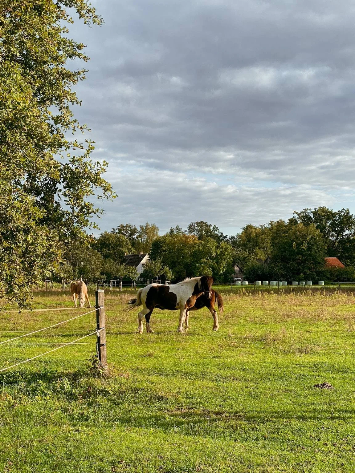 urlaub mit baby wohin deutschland