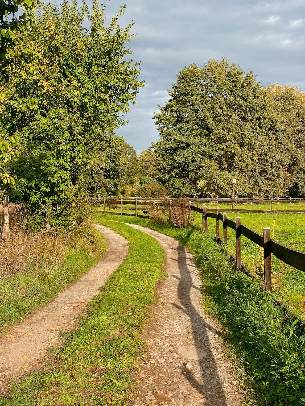 urlaub mit baby wohin erfahrungen