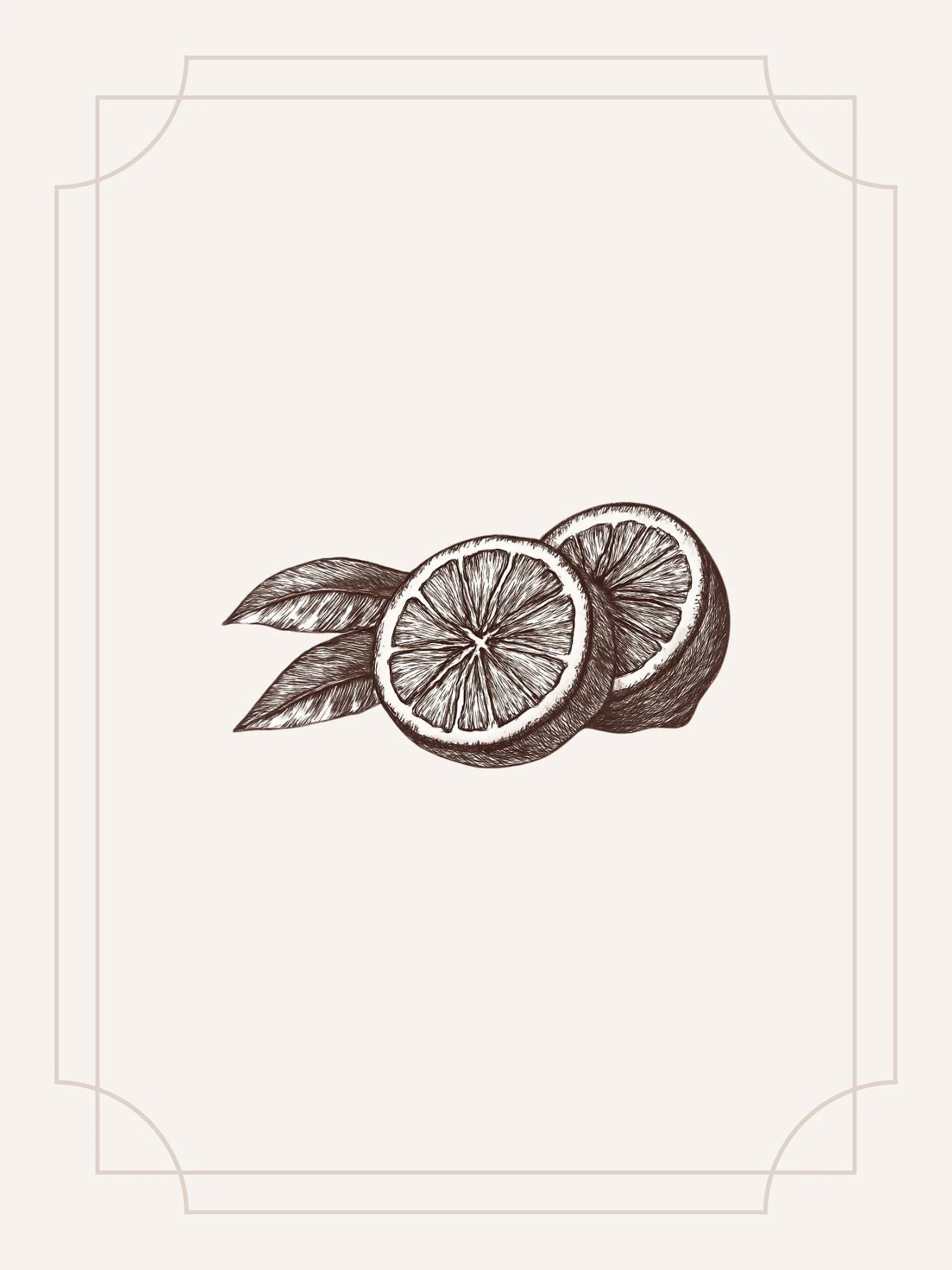 Botanische Illustration eines Zitrone im Querschnitt — Schwangerschaft als Gegenwart, nicht als Warteraum