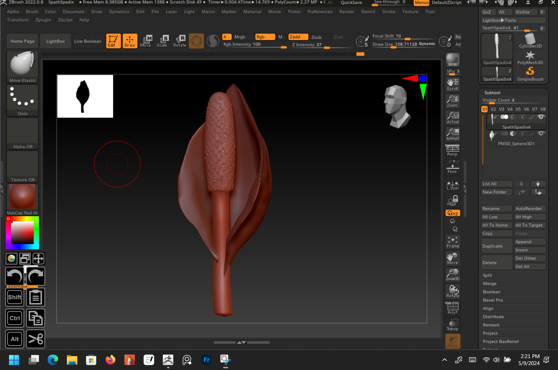 Skunk Cabbage Spathe/Spadix - ZBrush with print preparation (hollowing and keying), museum exhibit model