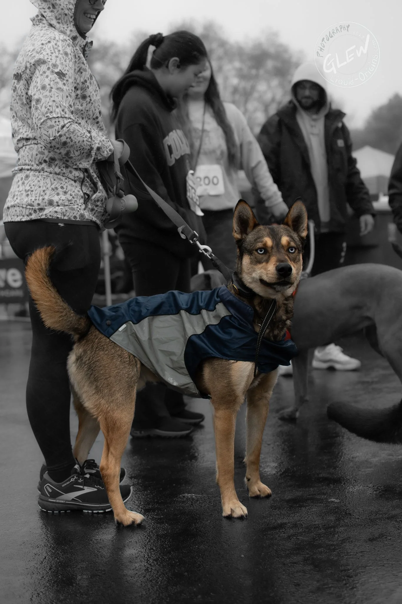 JRs5k2023 - Share-20.jpg