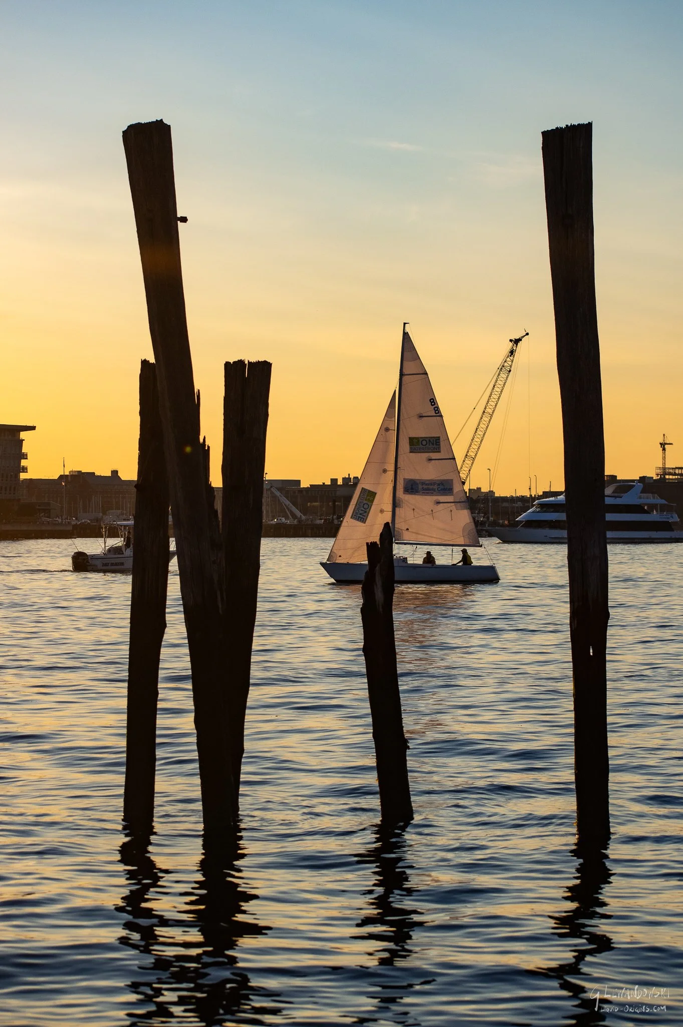 Harbor Sticks