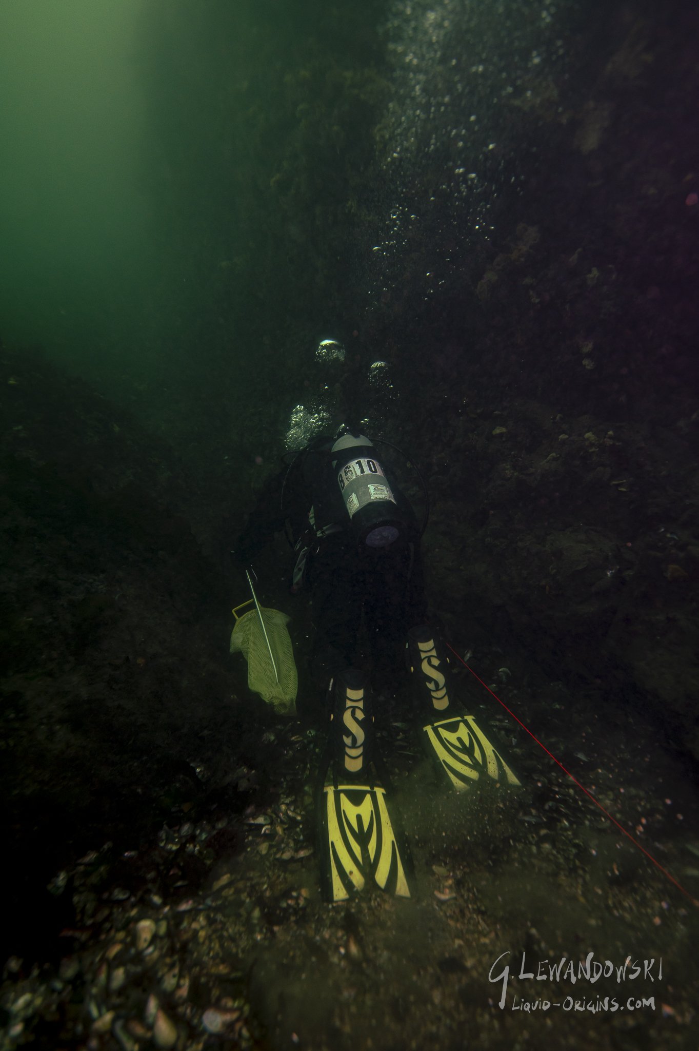Diving Tewksbury Rock
