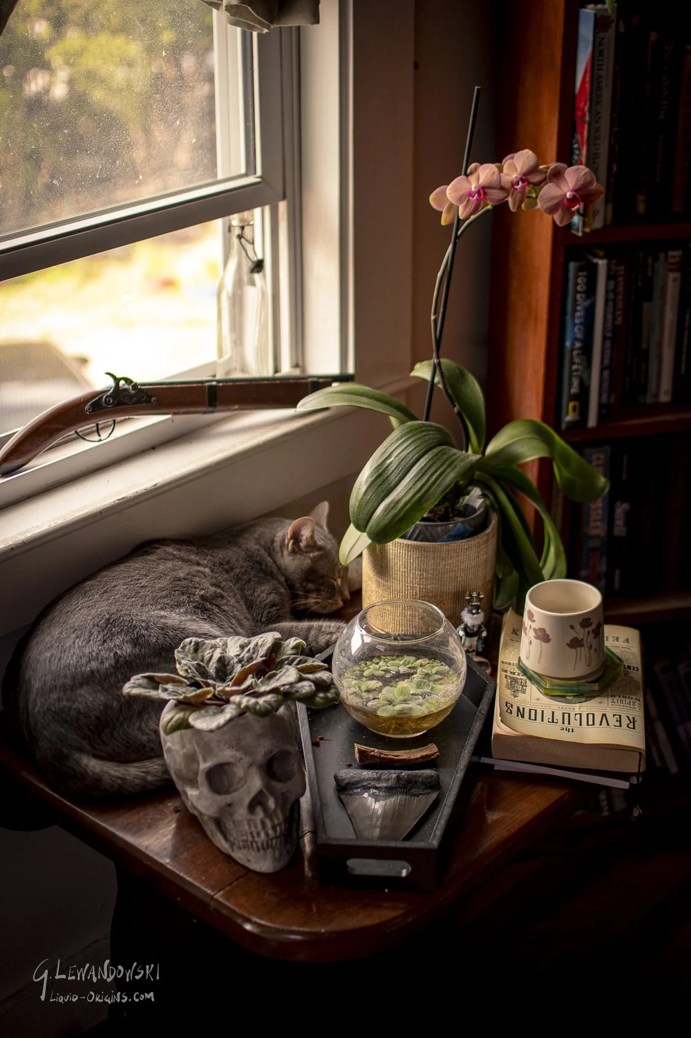 Marsh Escape - Preview-06.jpg