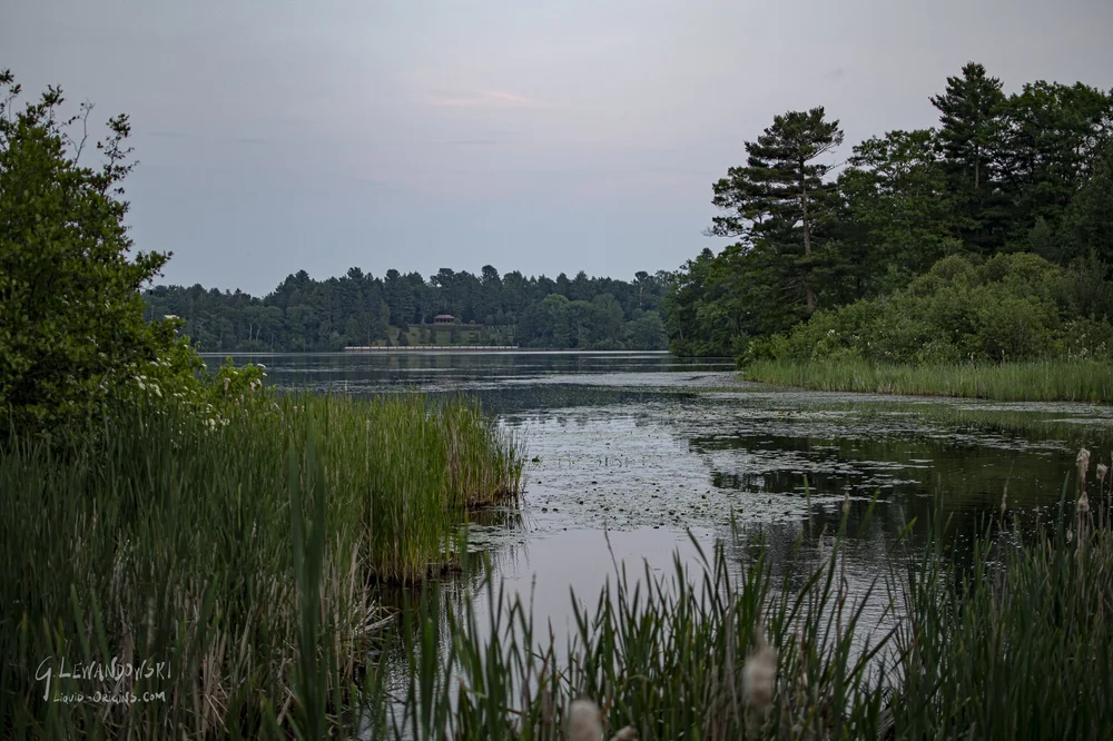 Marsh Escape - Preview-22.jpg