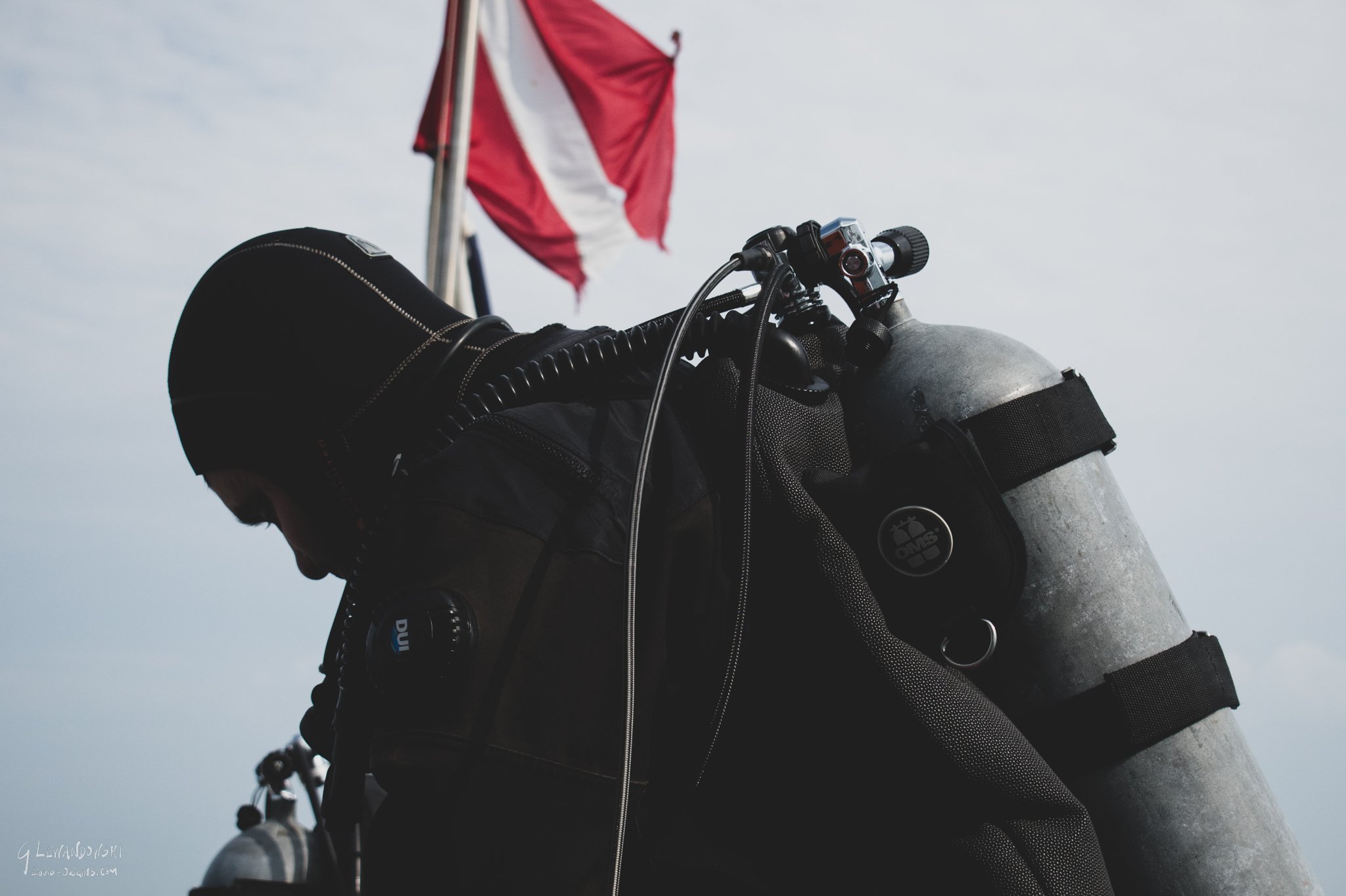 Diver out of Water