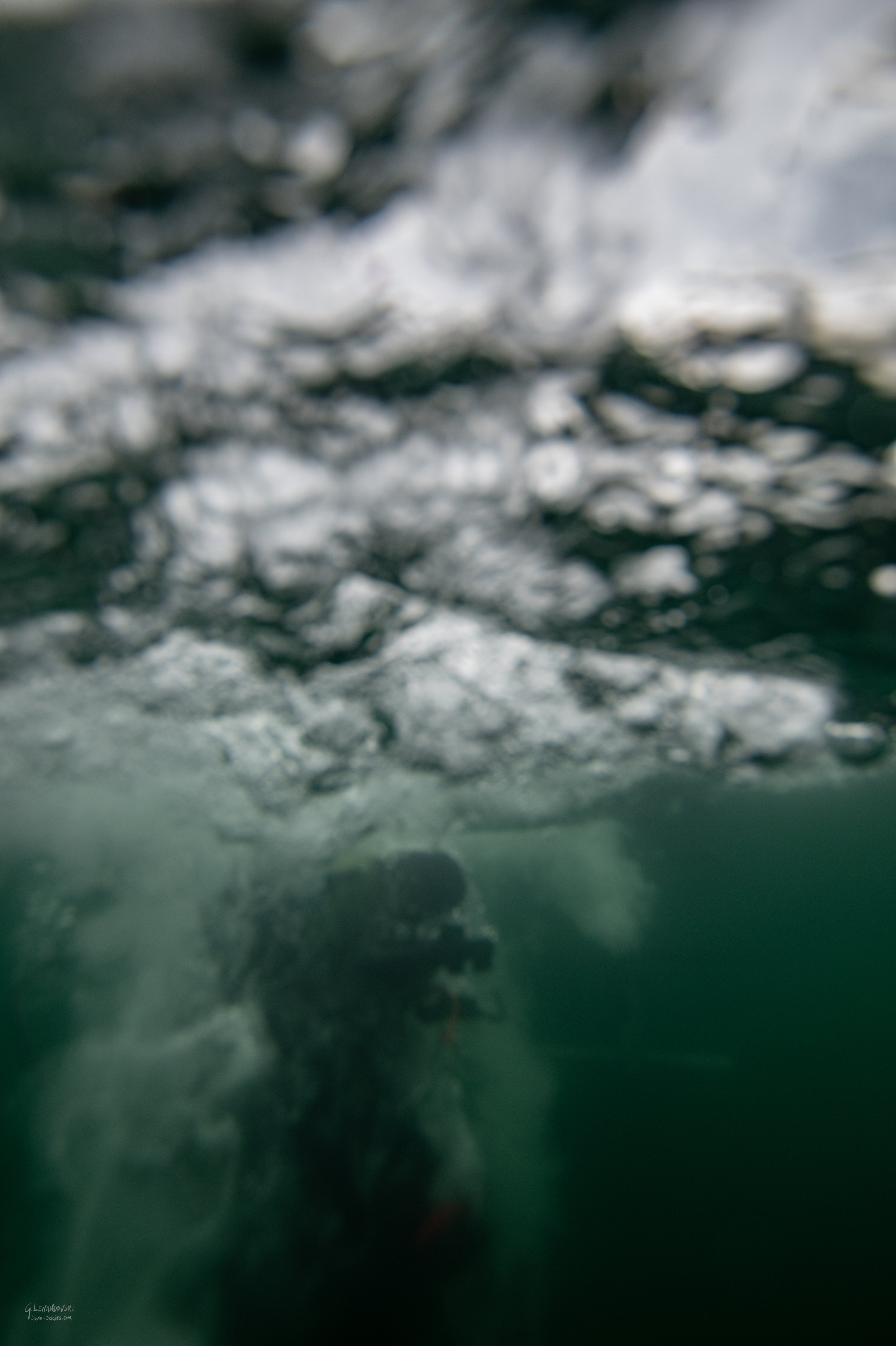 SaltySummer Full-77.jpg