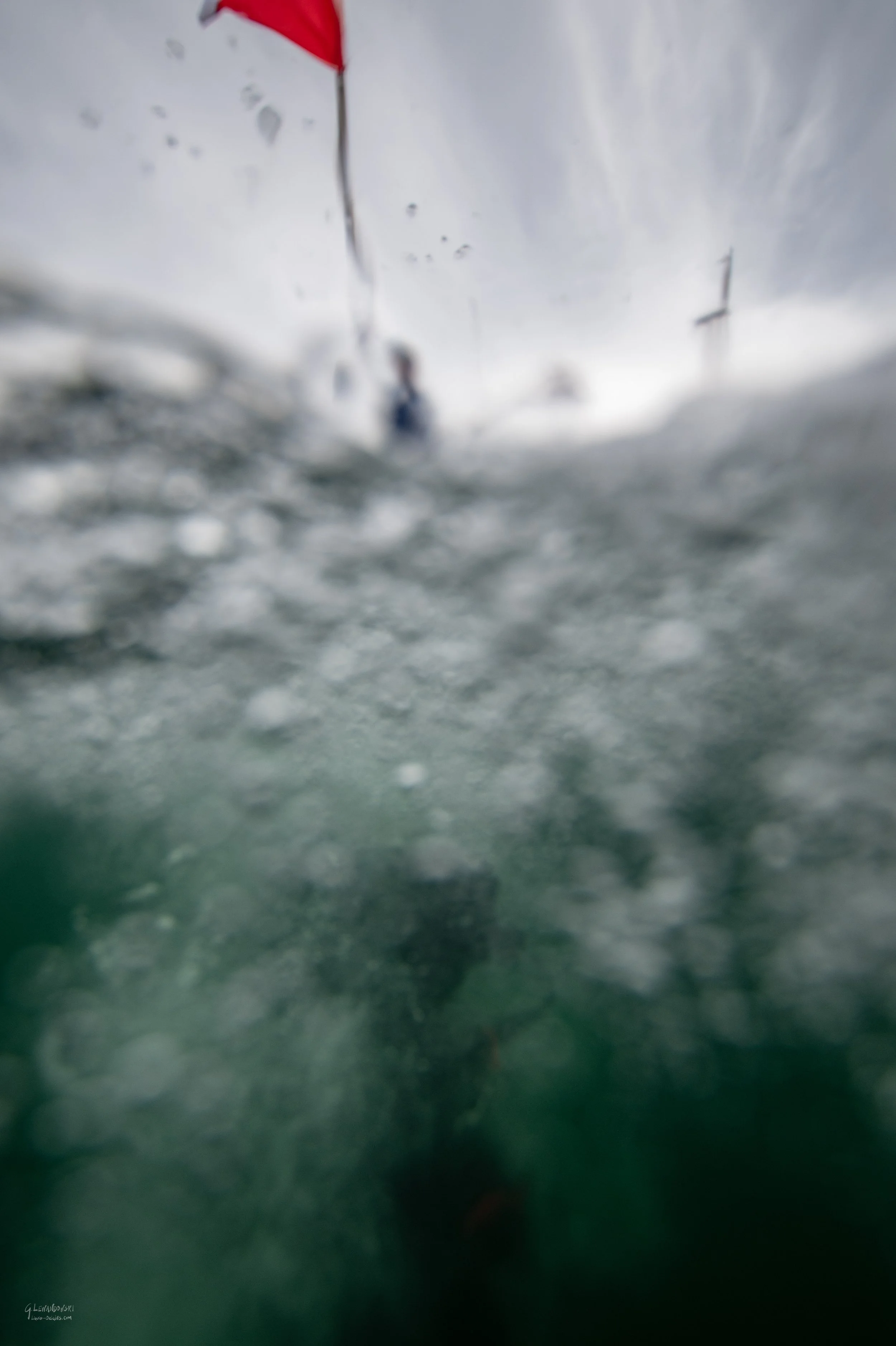 SaltySummer Full-80.jpg