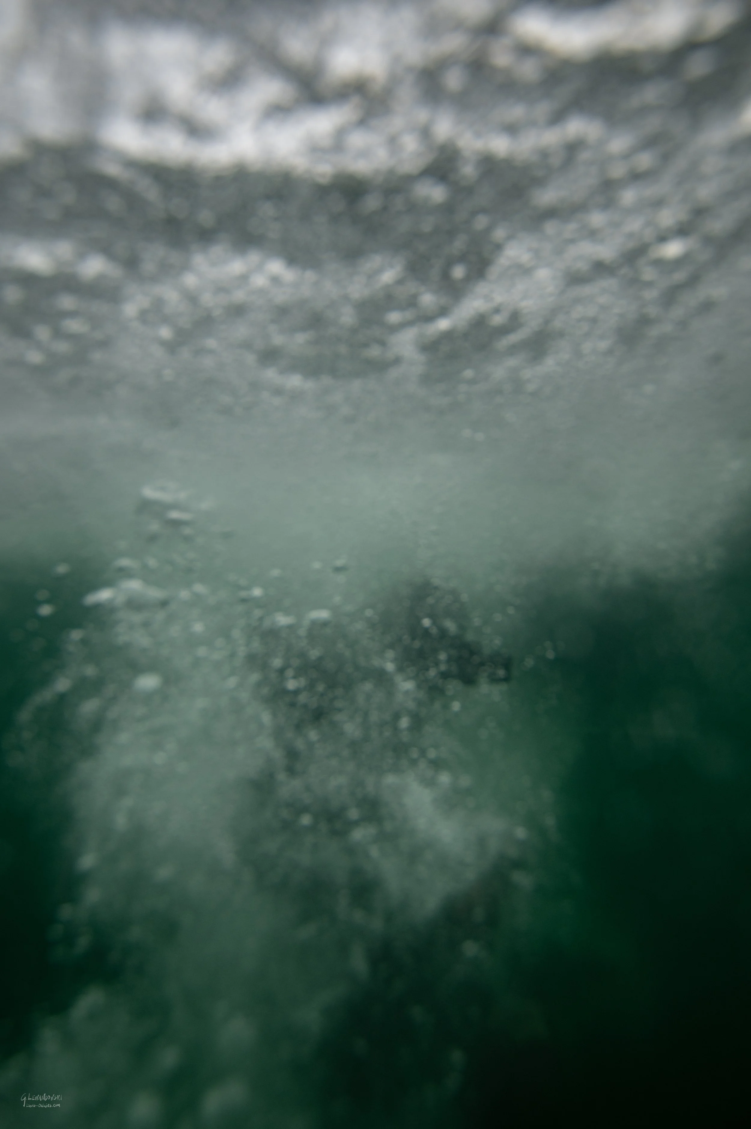 SaltySummer Full-84.jpg