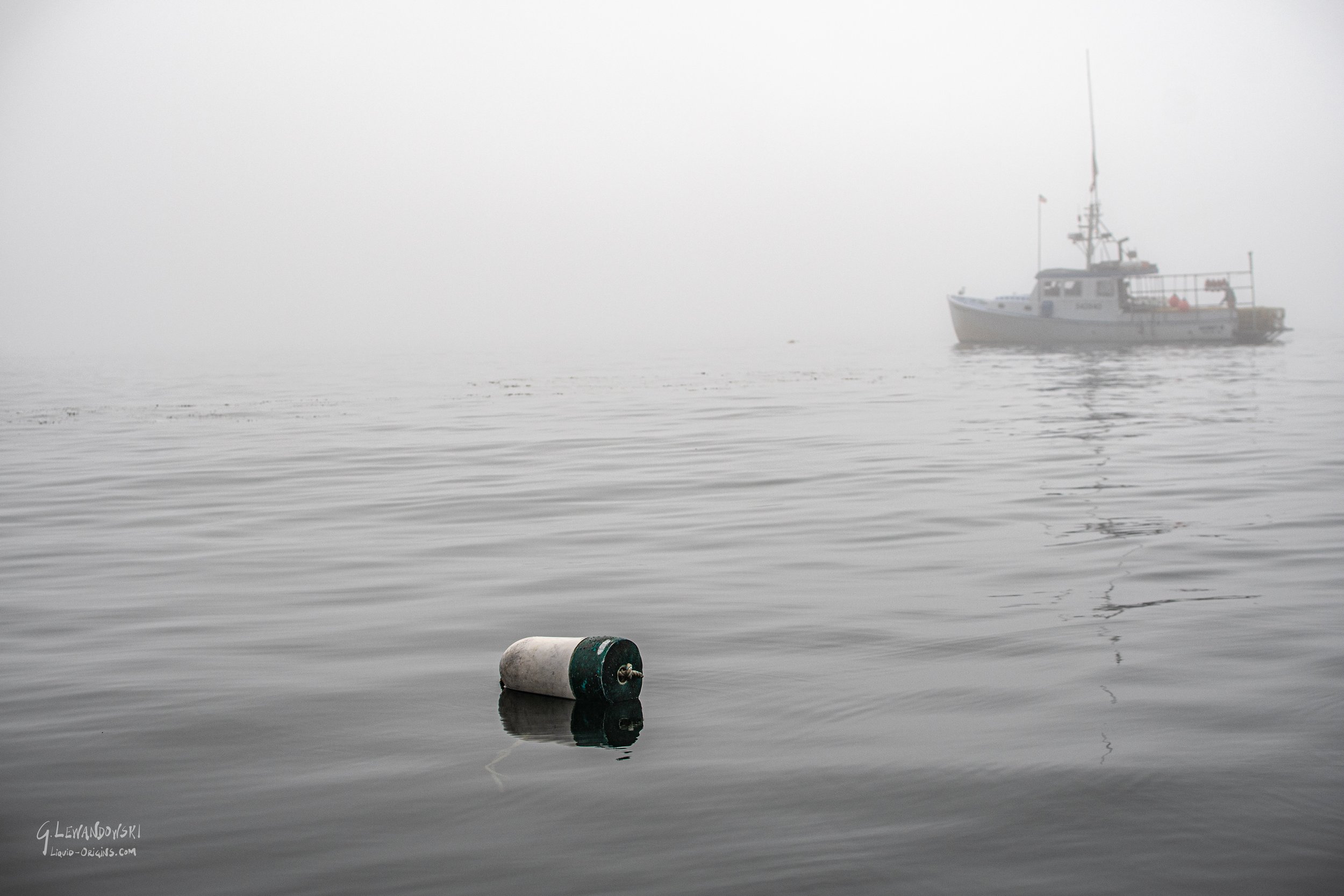 Fog Monster Weekend