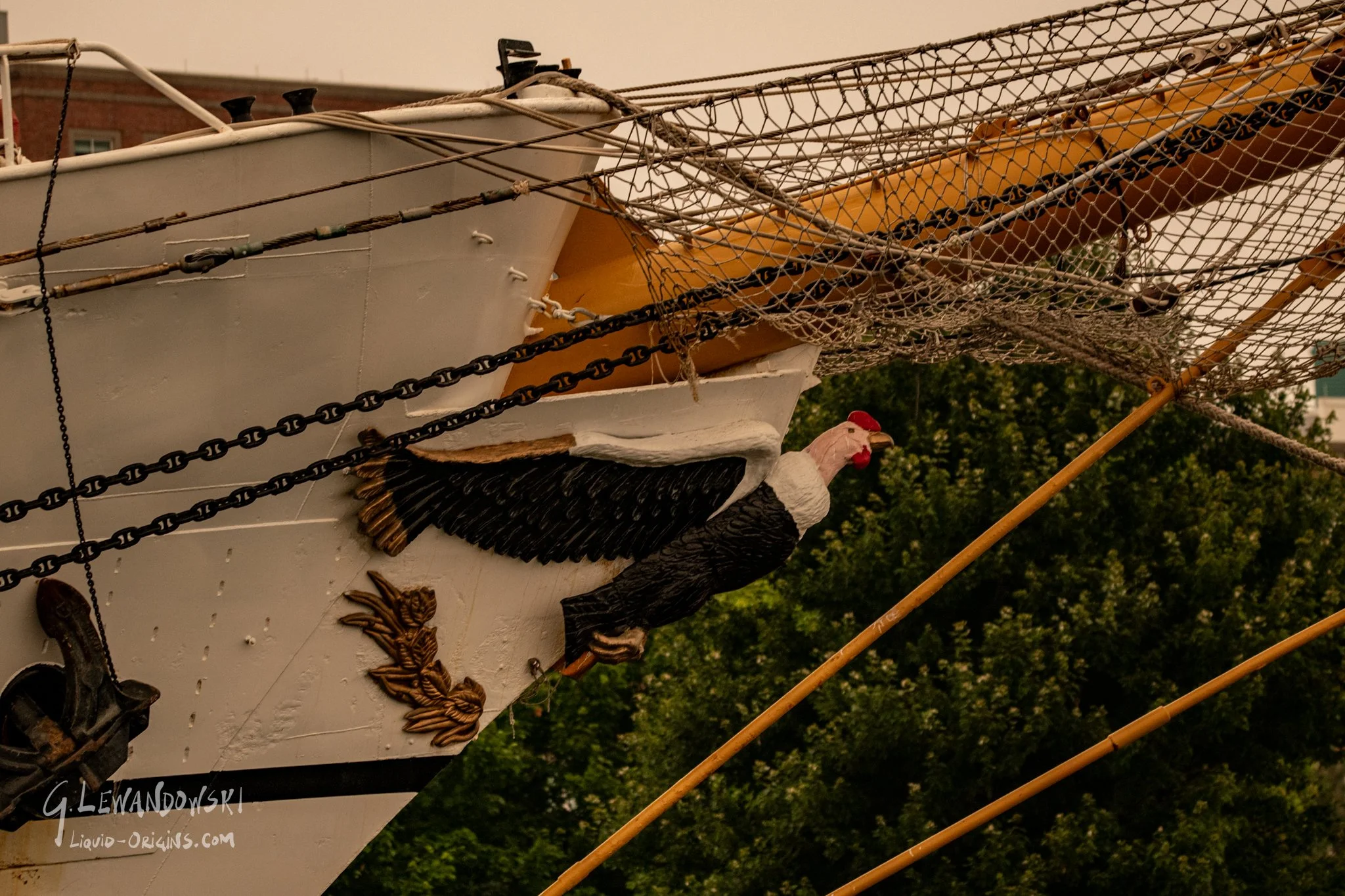 Tall Ships - Tall Shipocalypse  Preview-24.jpg