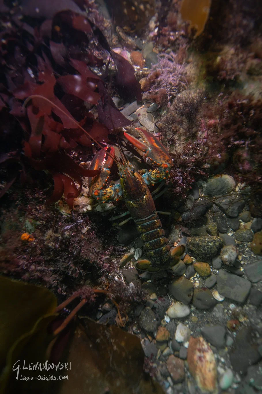 Shallows of Boston Bay Preview-11.jpg