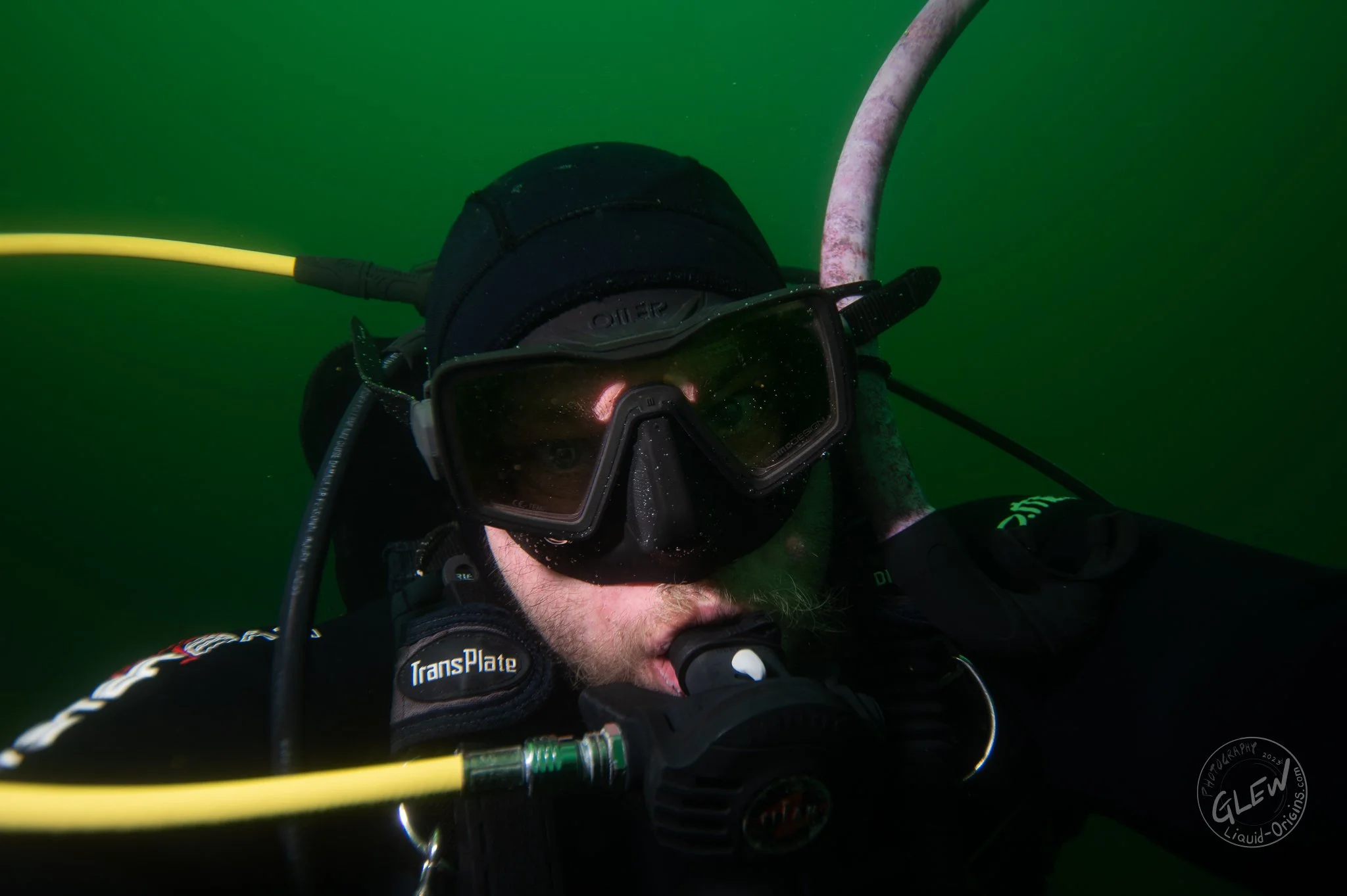 Fall Underwater - Small-18.jpg