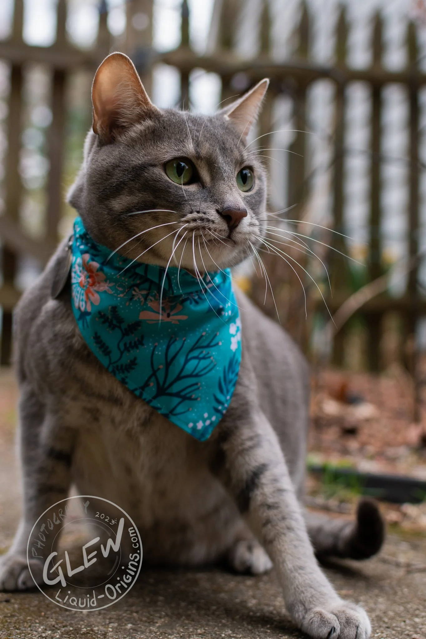 Mr. Peanut's Leo Alani - Share-08.jpg