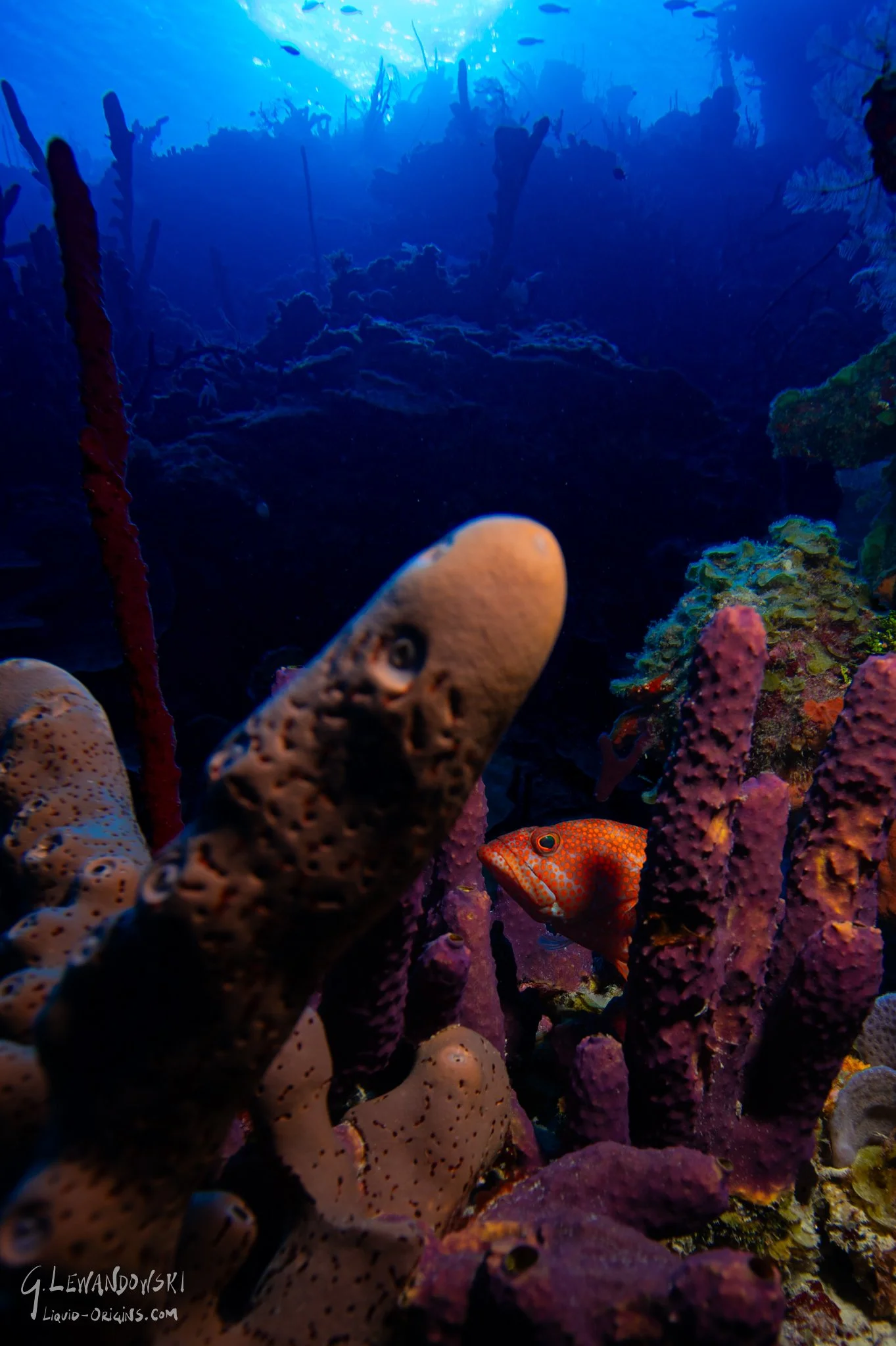 Sleepy SItes - Small-2.jpg