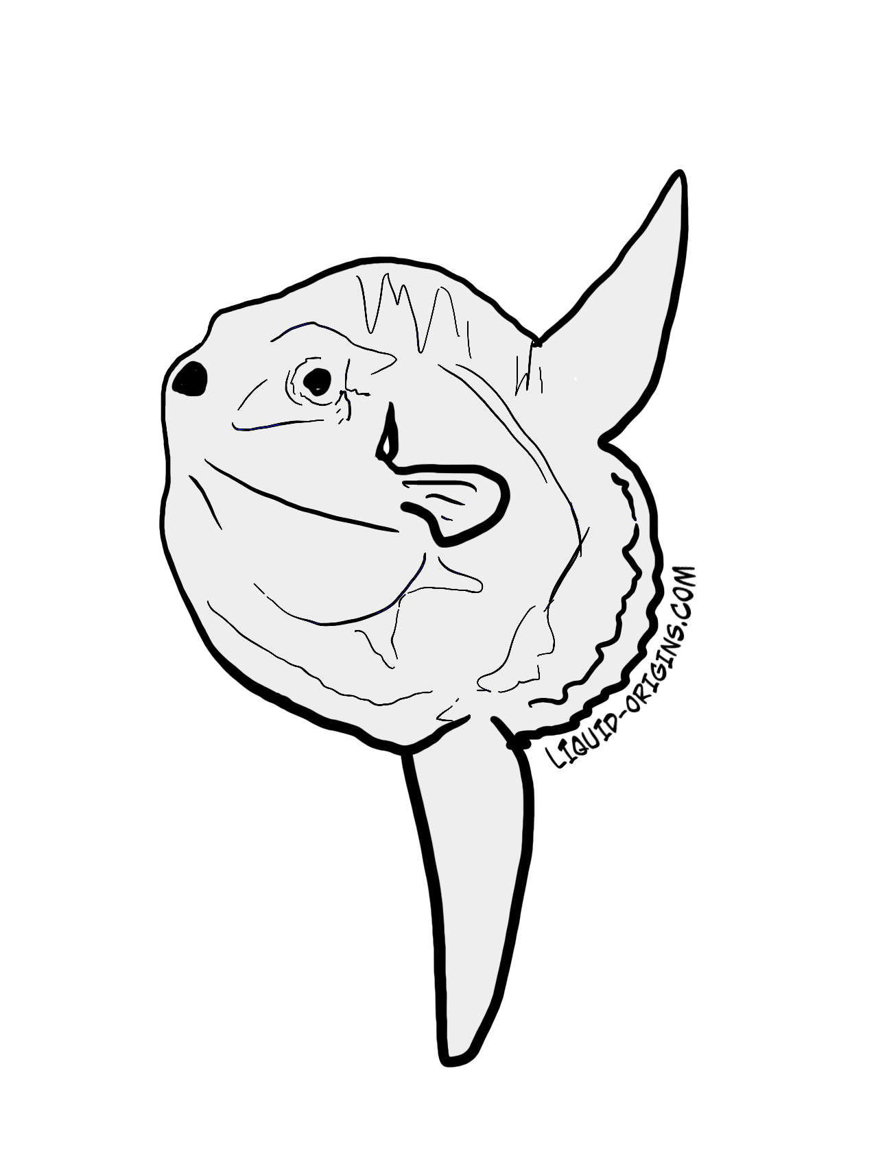 Mola_Mola_.png
