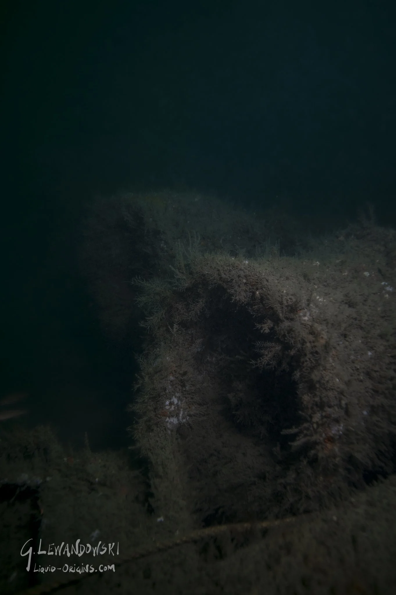 Sunken Sailsbury - Preview-21.jpg