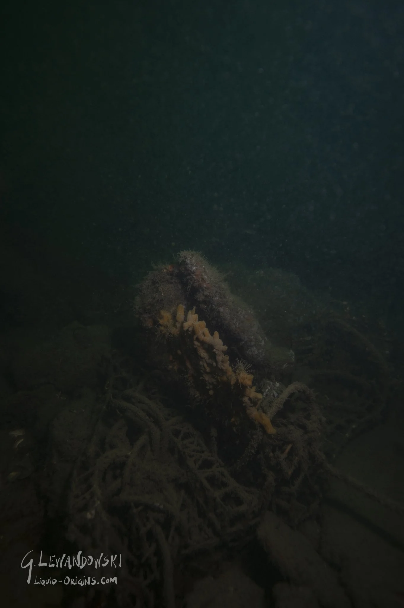 Sunken Sailsbury - Preview-07.jpg