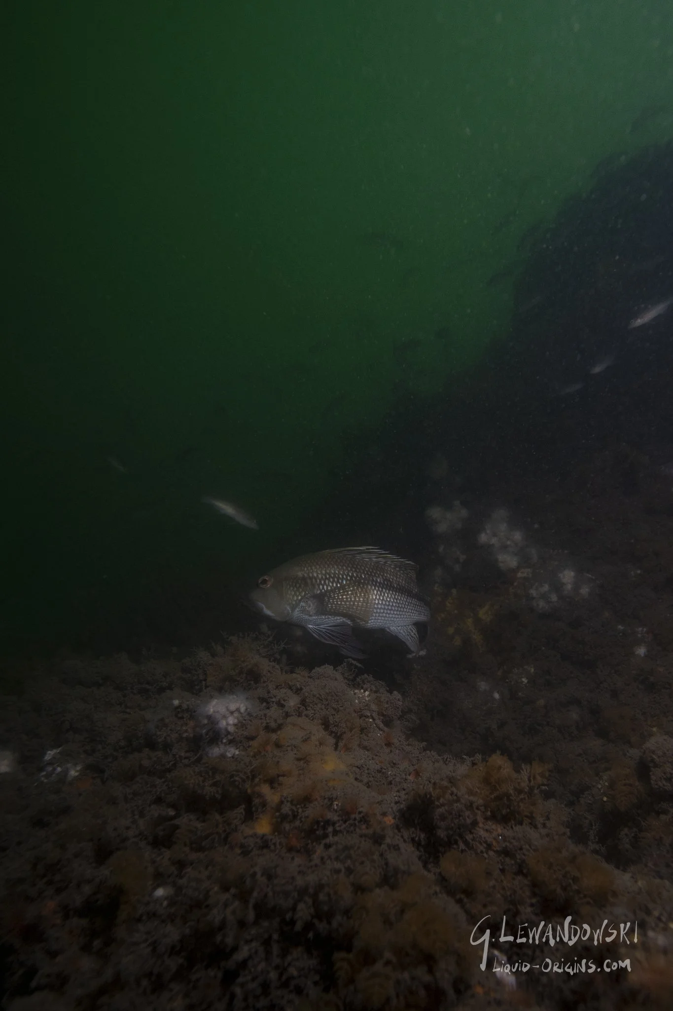 First In Weatherill - Previw-08.jpeg