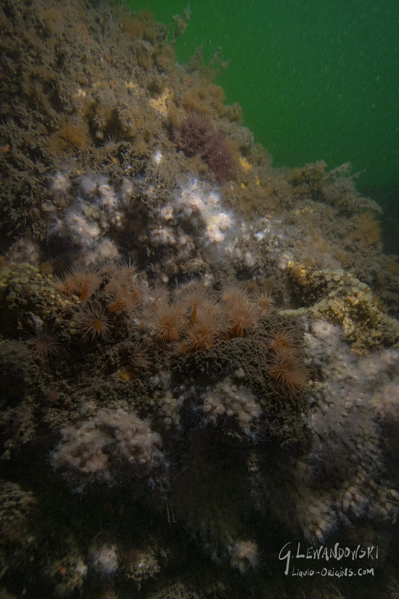 First In Weatherill - Previw-09.jpeg