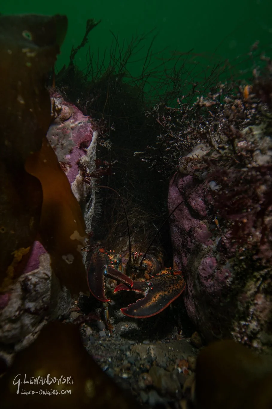 Shallows of Boston Bay Preview-7.jpg