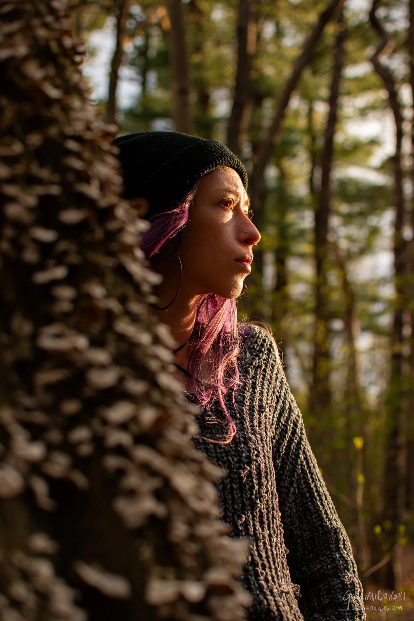 Calling Grove - Preview.jpg