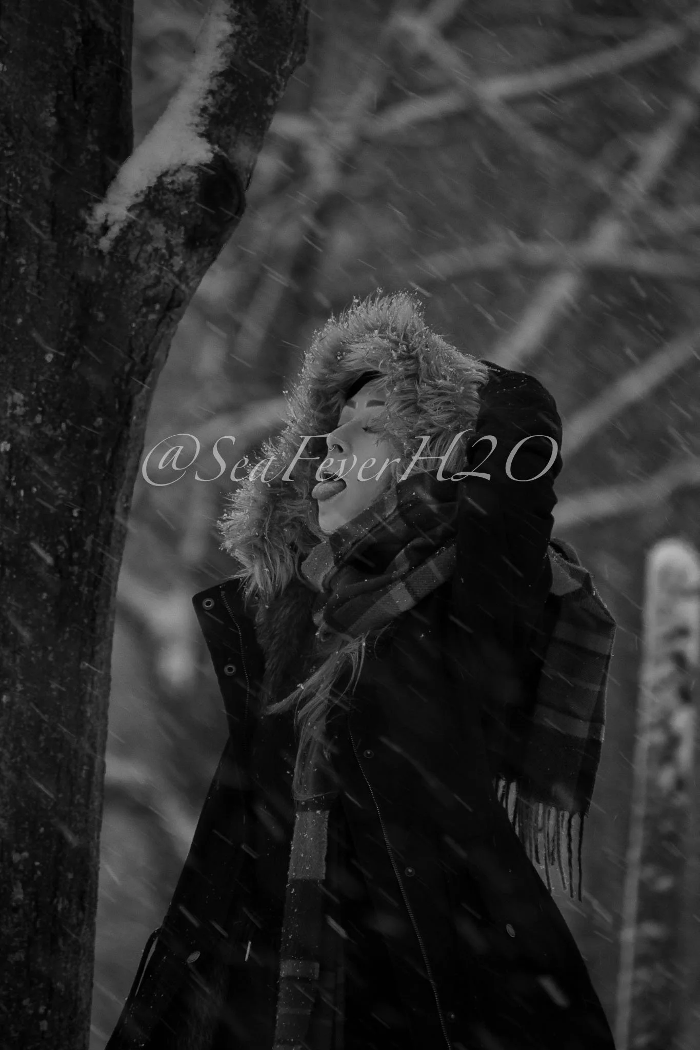 Catching Snow WEB.jpg