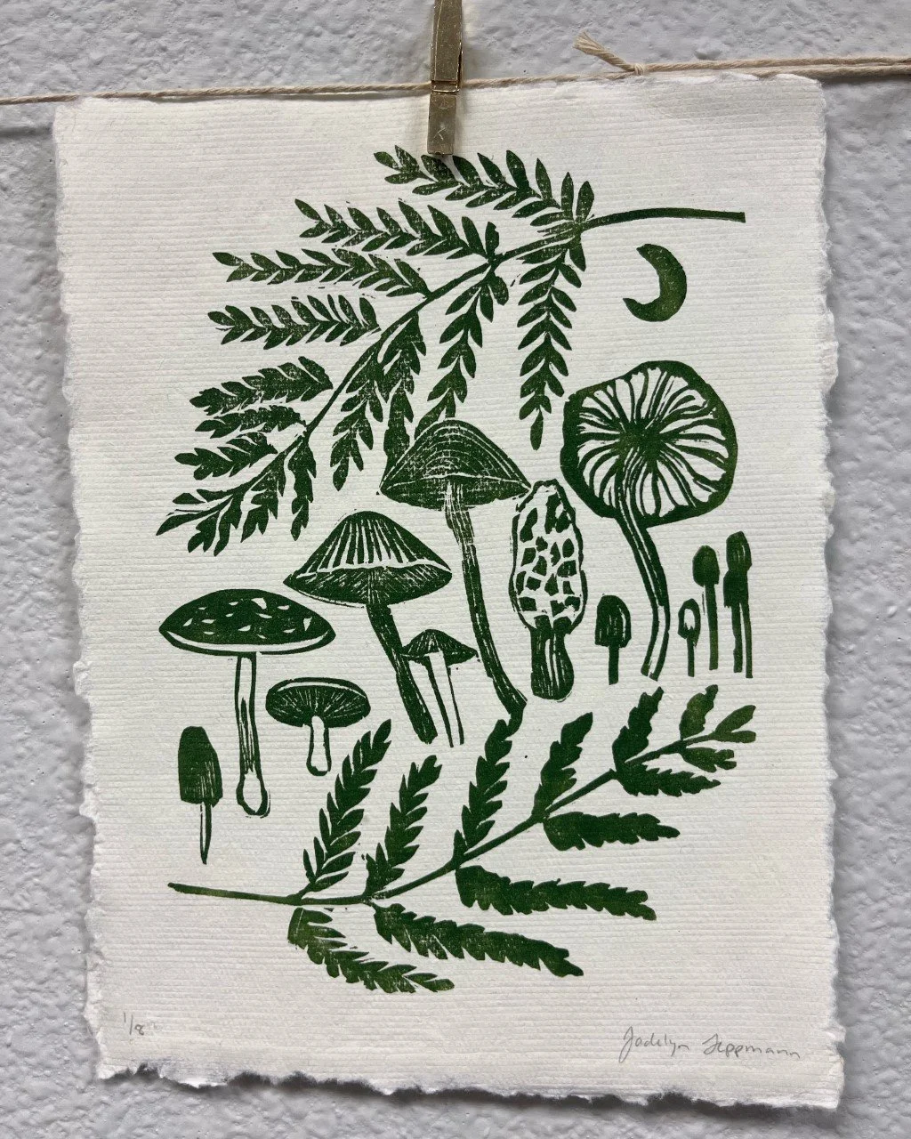 Ferns & Mushrooms