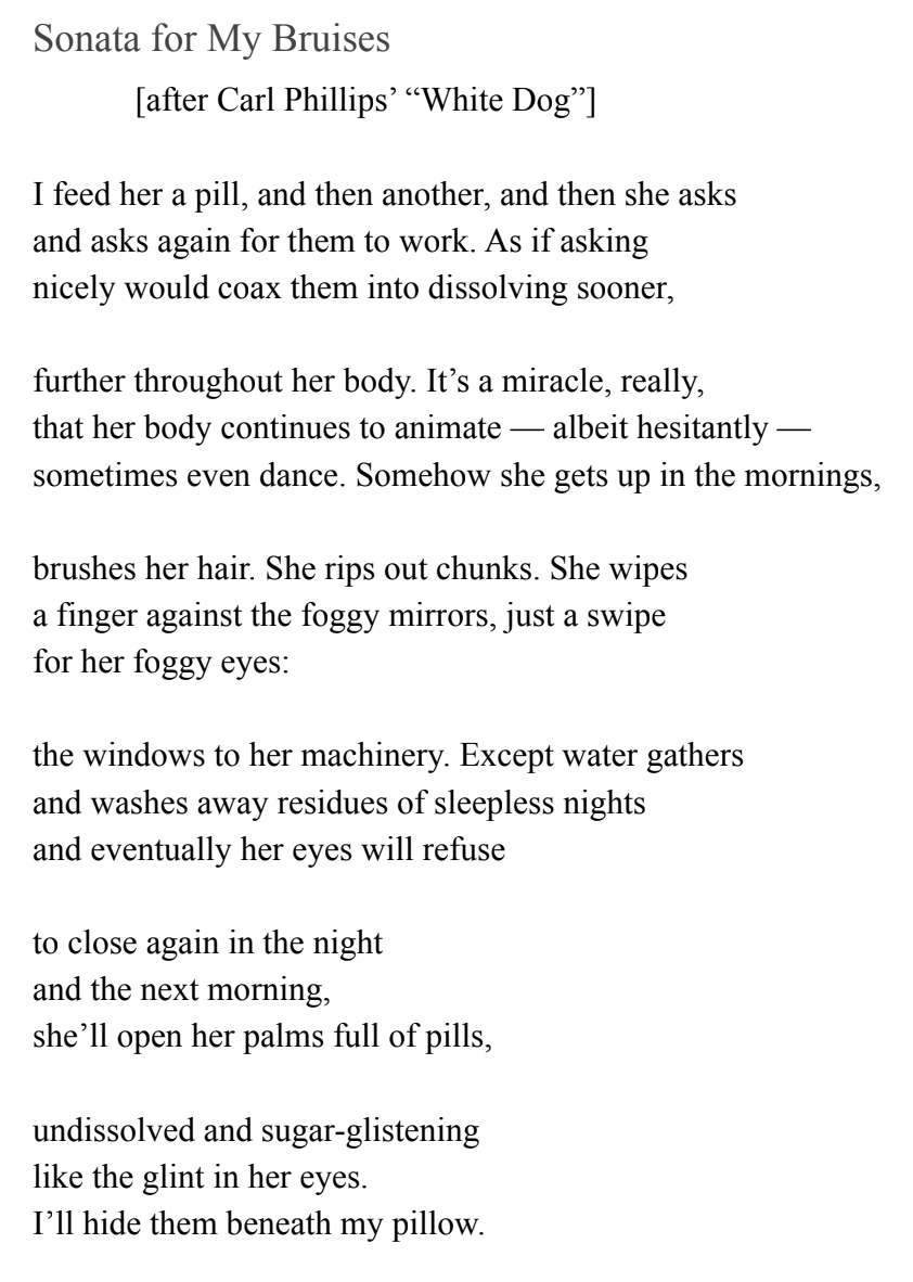 Sonata for My Bruises (2019)