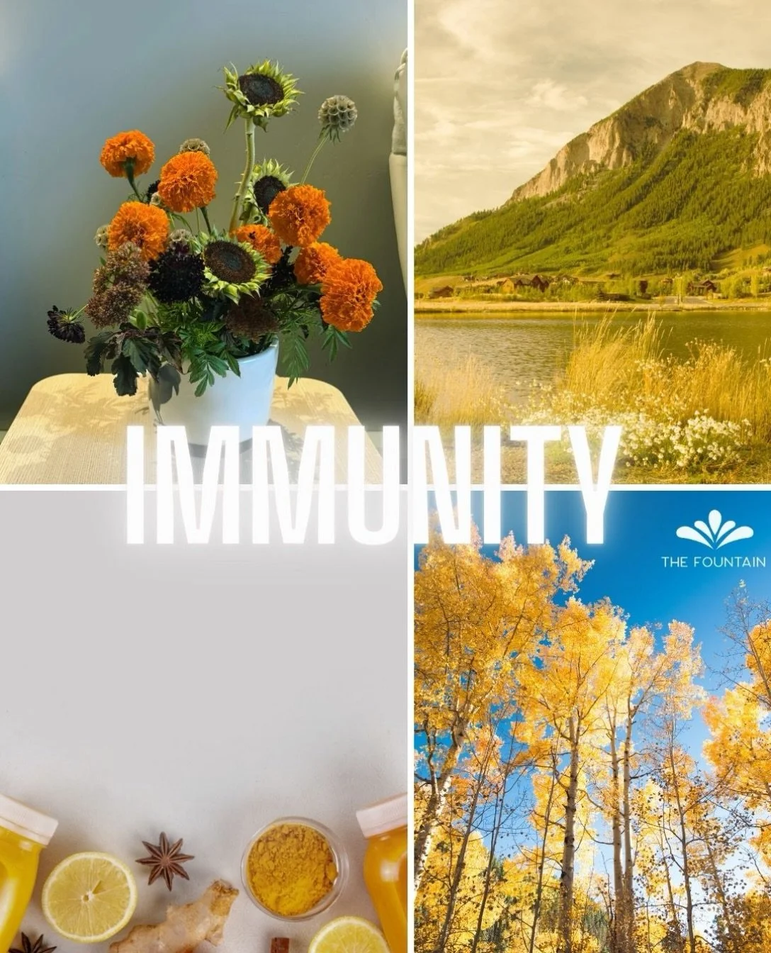 Immunity starts with the little things. 🍂
Sleep, hydration, fresh air, lower stress, and time with friends.  As the seasons change in Crested Butte, it&rsquo;s a great time to give your body a little extra support.

Meet the Tri-Immunity Shot for ju