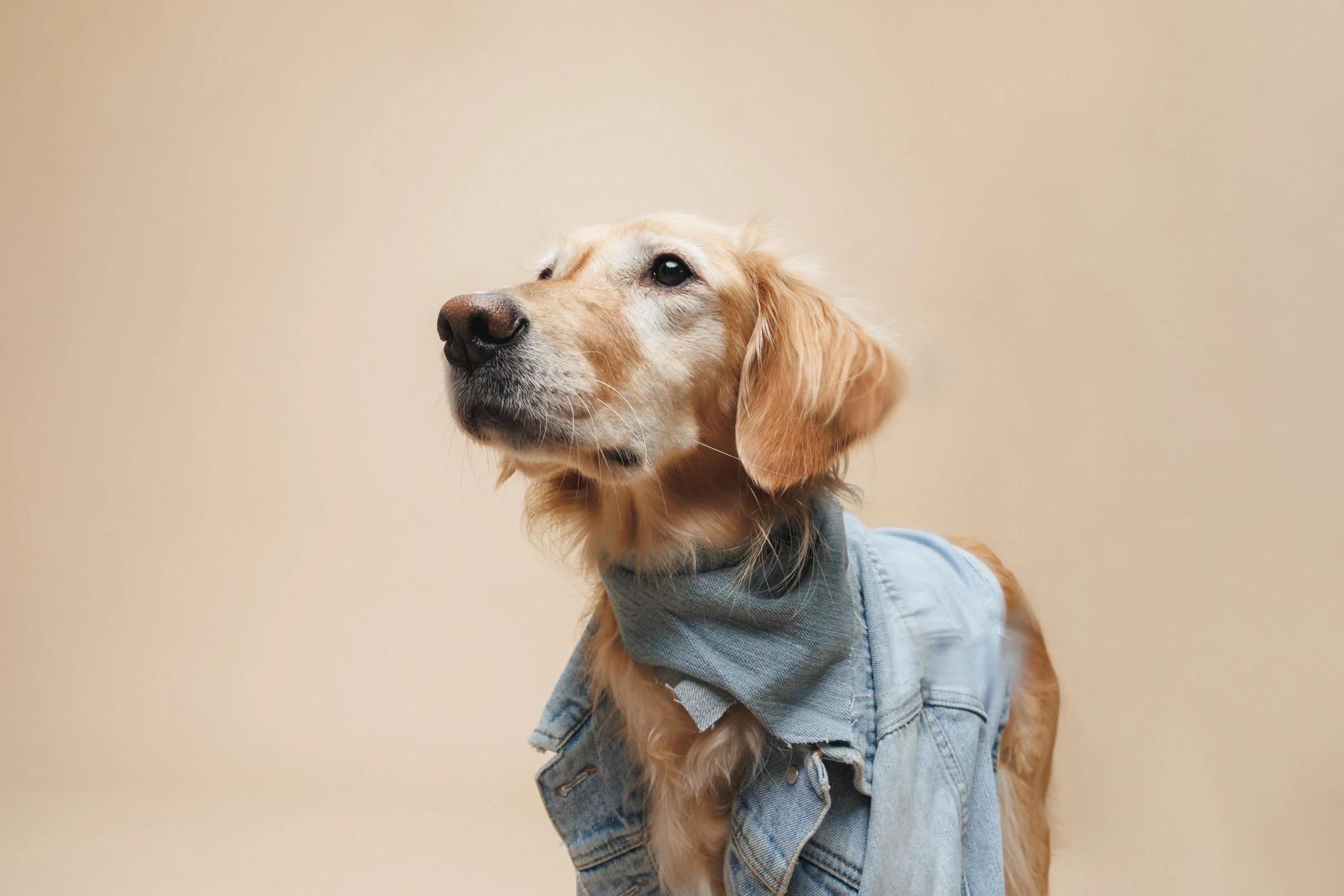 250922-2025 Holiday Pic-117-Edit.jpg