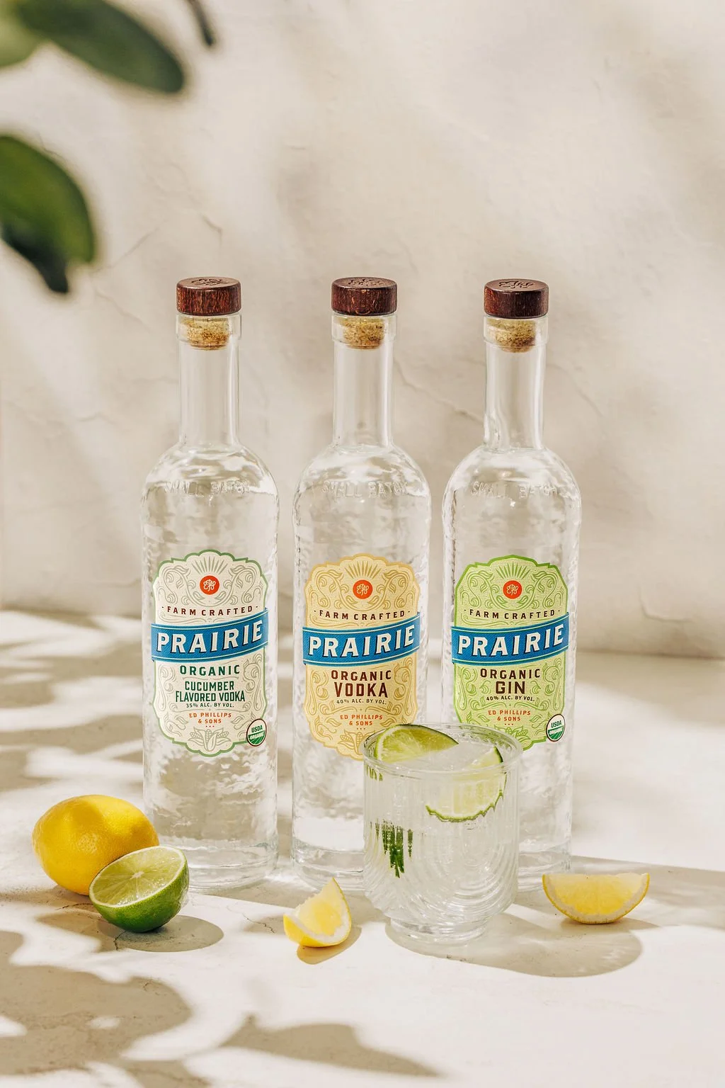 Food and beverage photography with natural sunny lighting