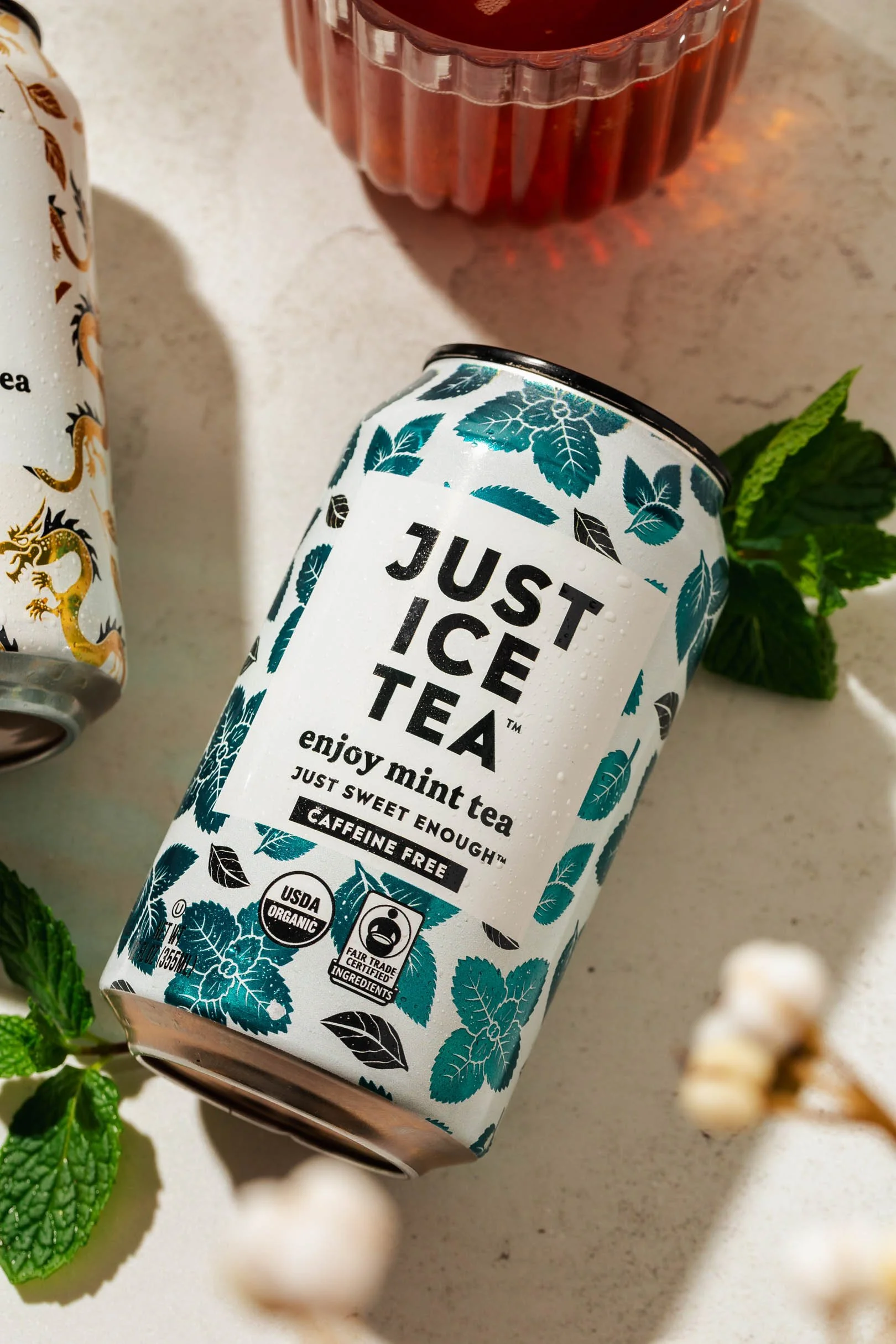 2025-01-31 Just Ice Tea-285.jpg