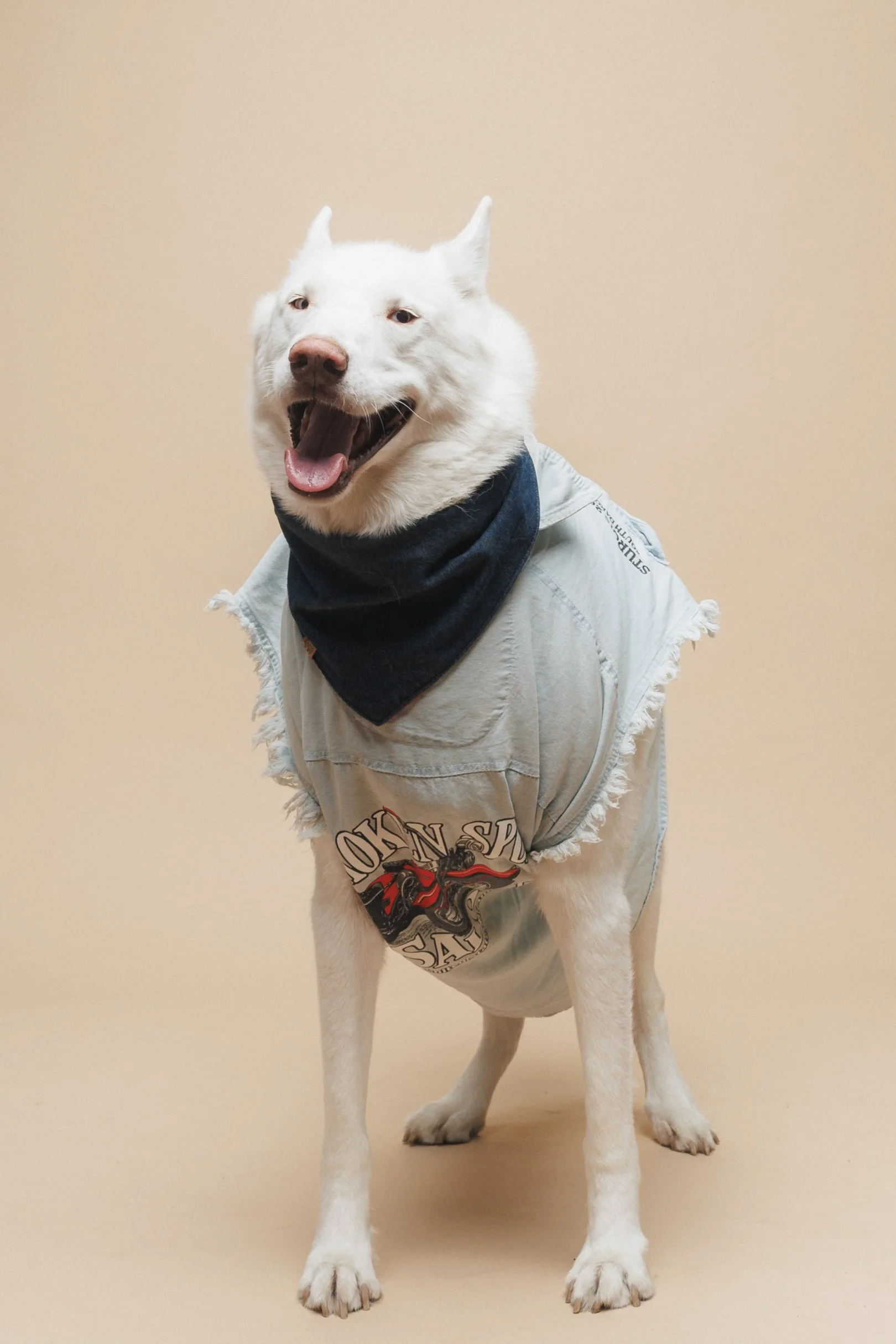 250922-2025 Holiday Pic-74.jpg