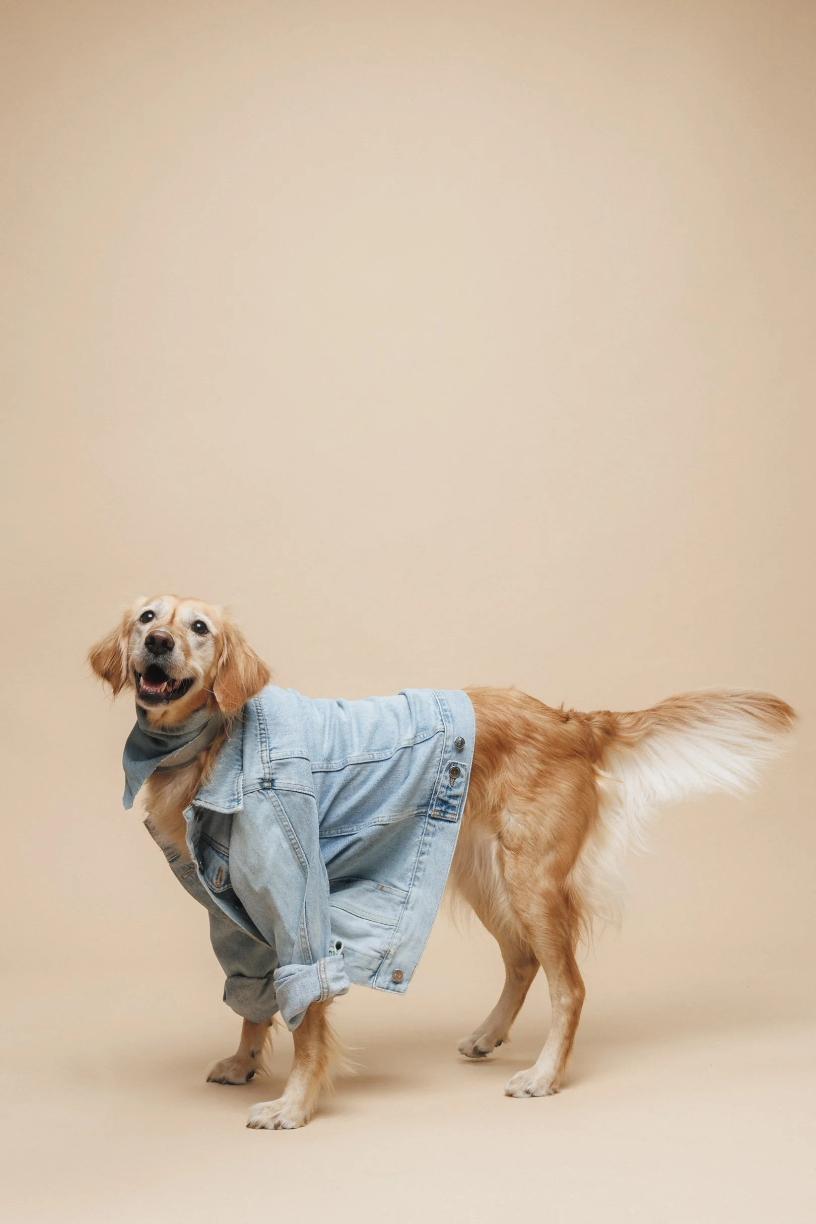 250922-2025 Holiday Pic-39-Edit.jpg